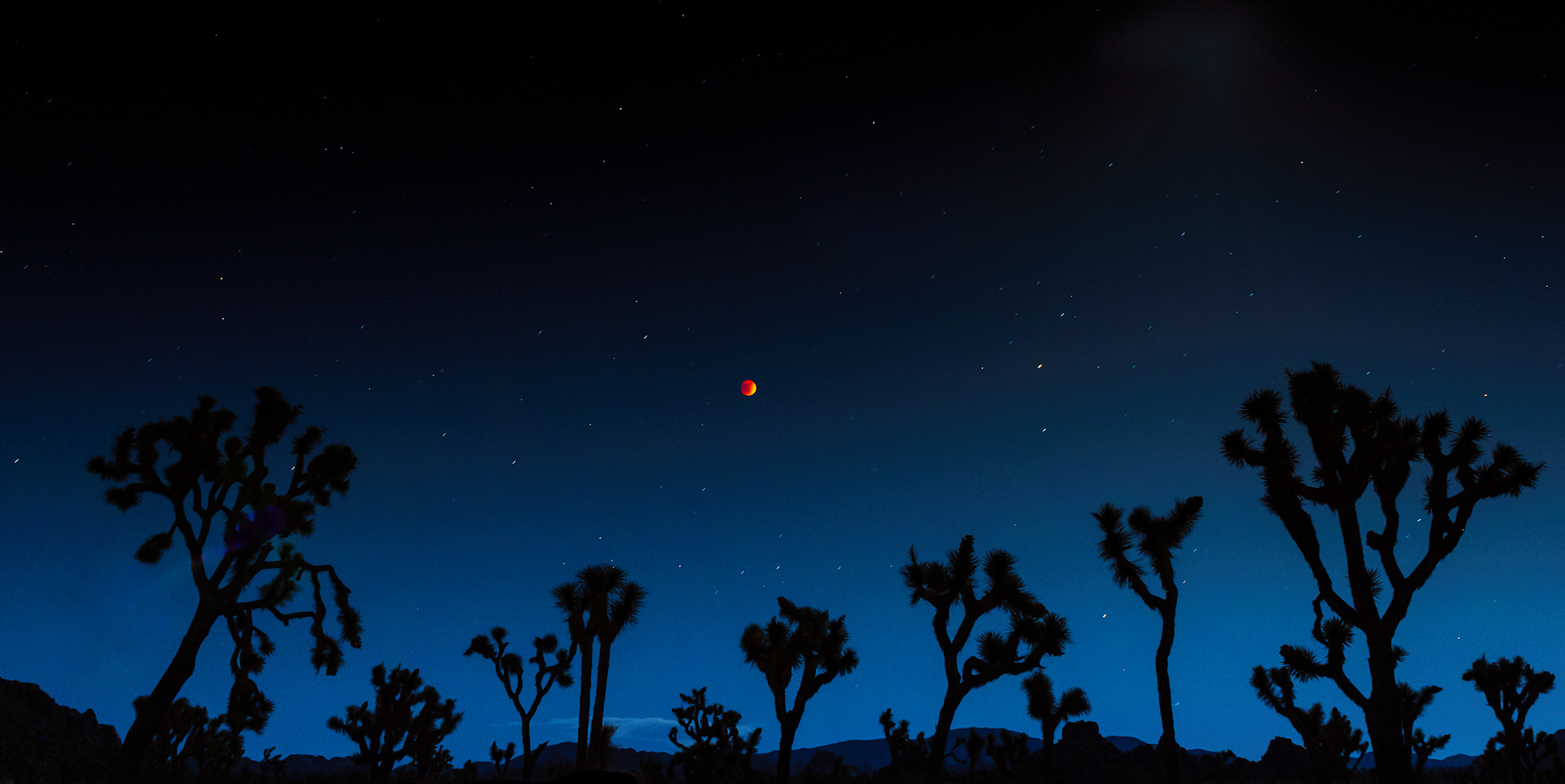 Joshua Tree, CA