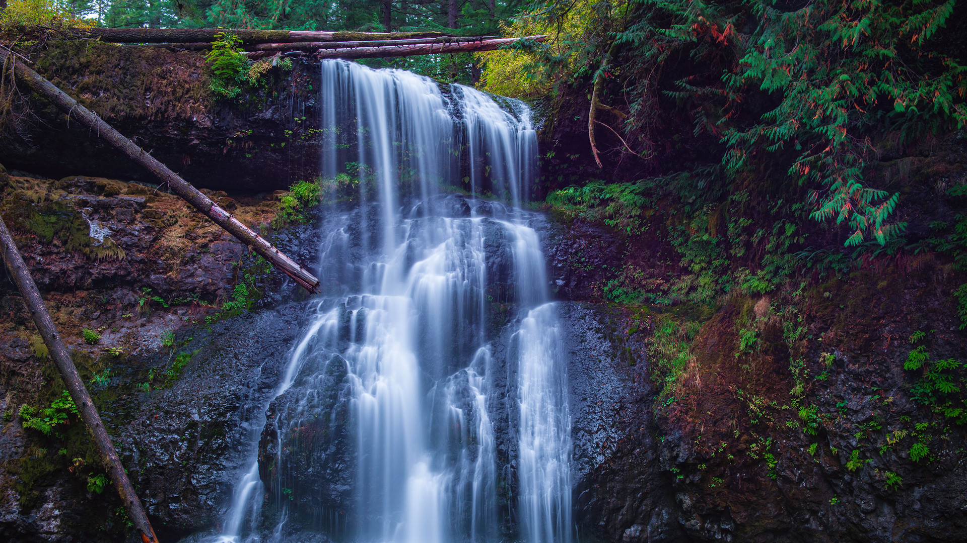 Vancouver Island, Canada