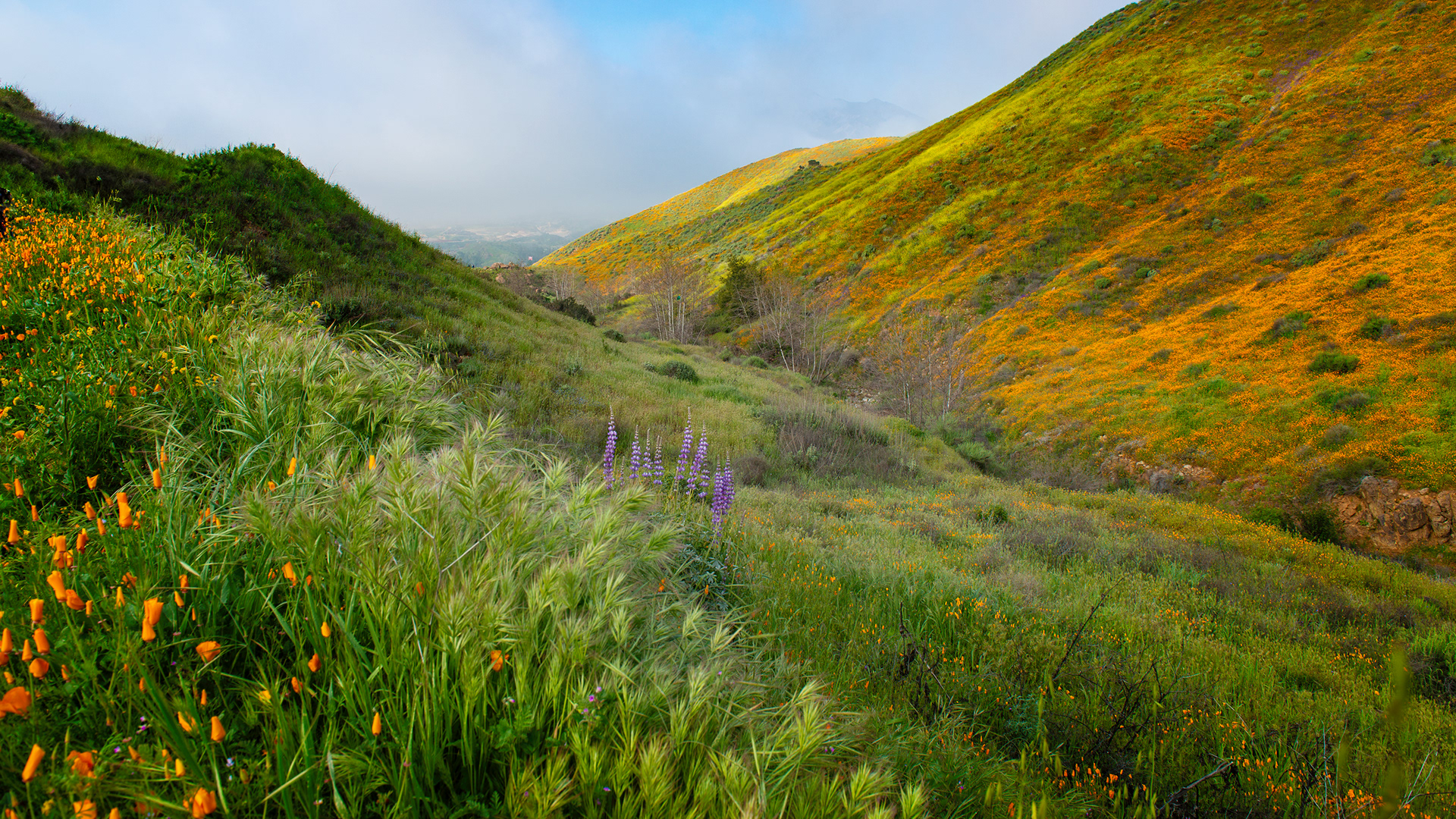 Walker Canyon, CA