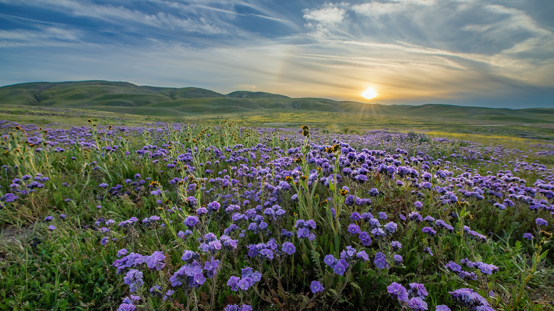 Carrizo Plain National Monument, CA