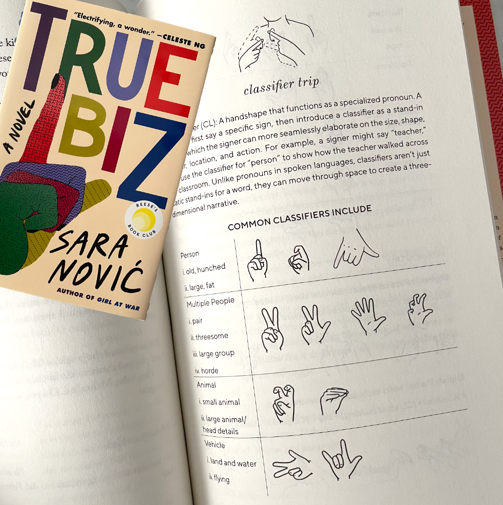 Sara Novic, Author of True Biz - ASL Illustration