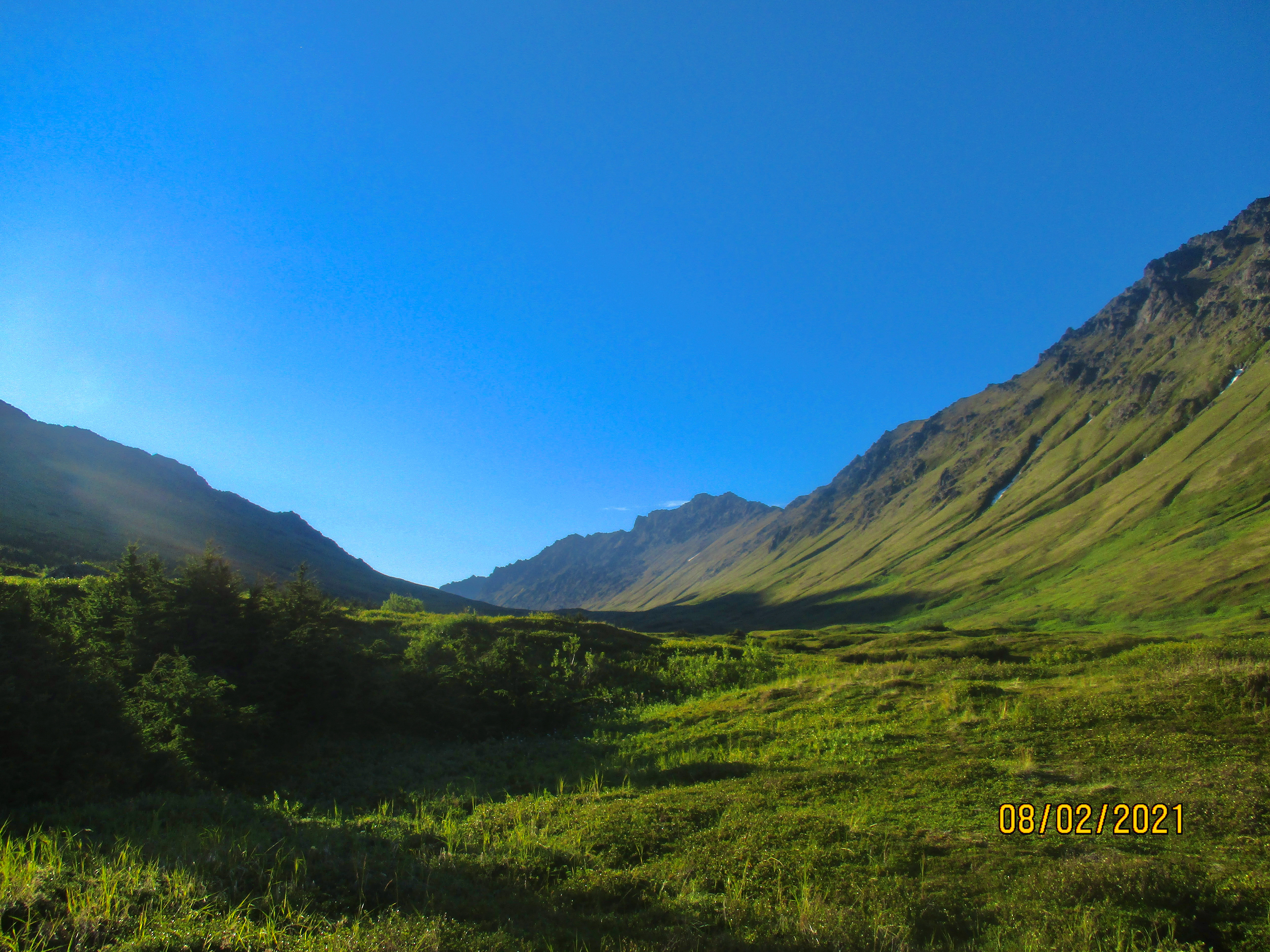 Alaska