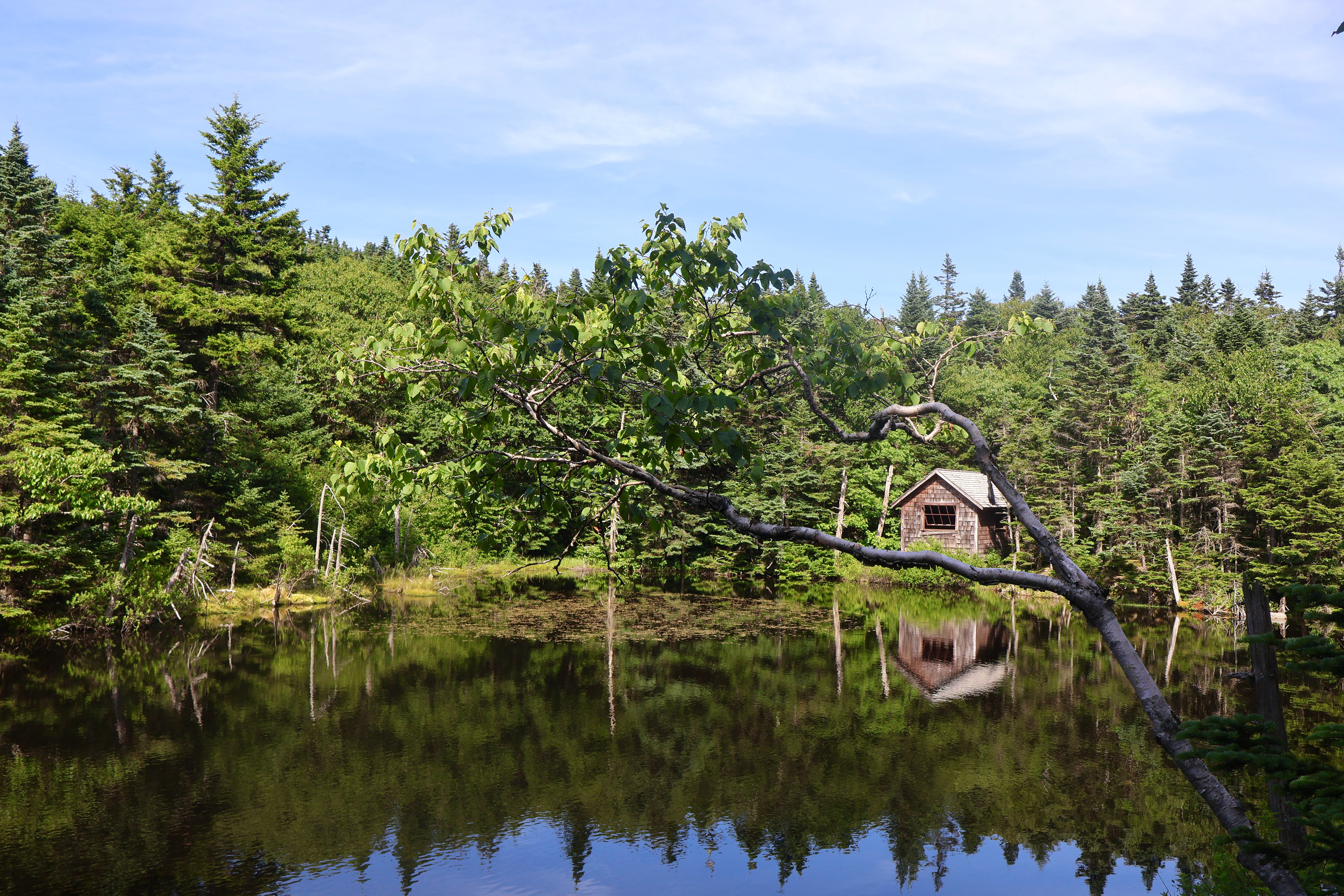 Mount Greylock (MA)