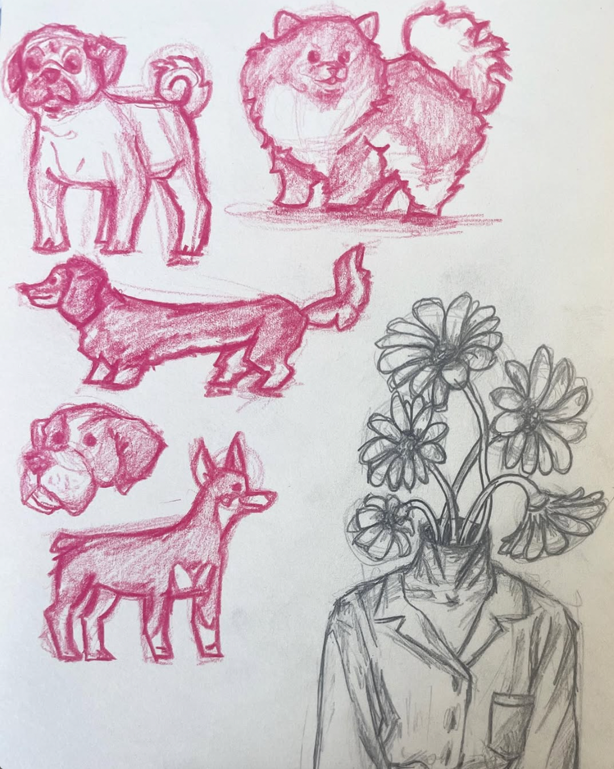 Dog doodles & flowerhead