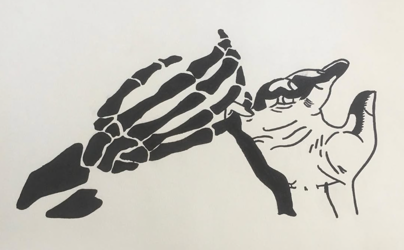 graphic style practice