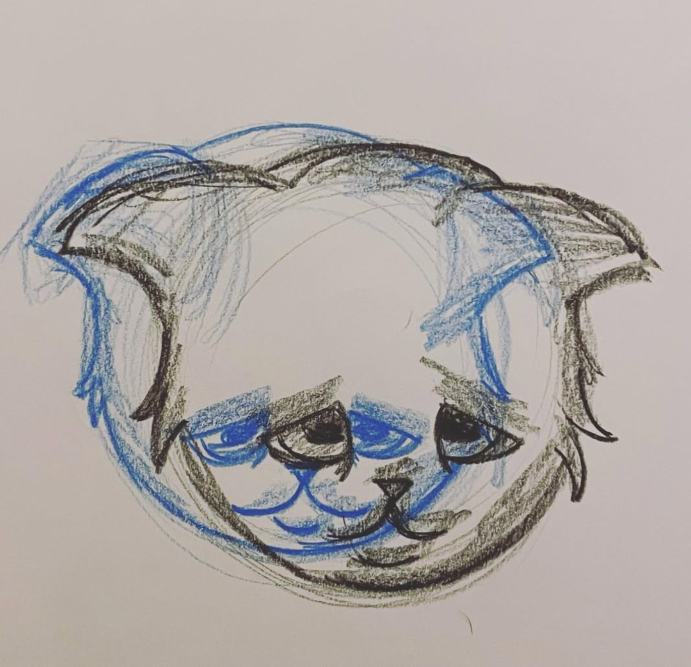 glitch cat doodle