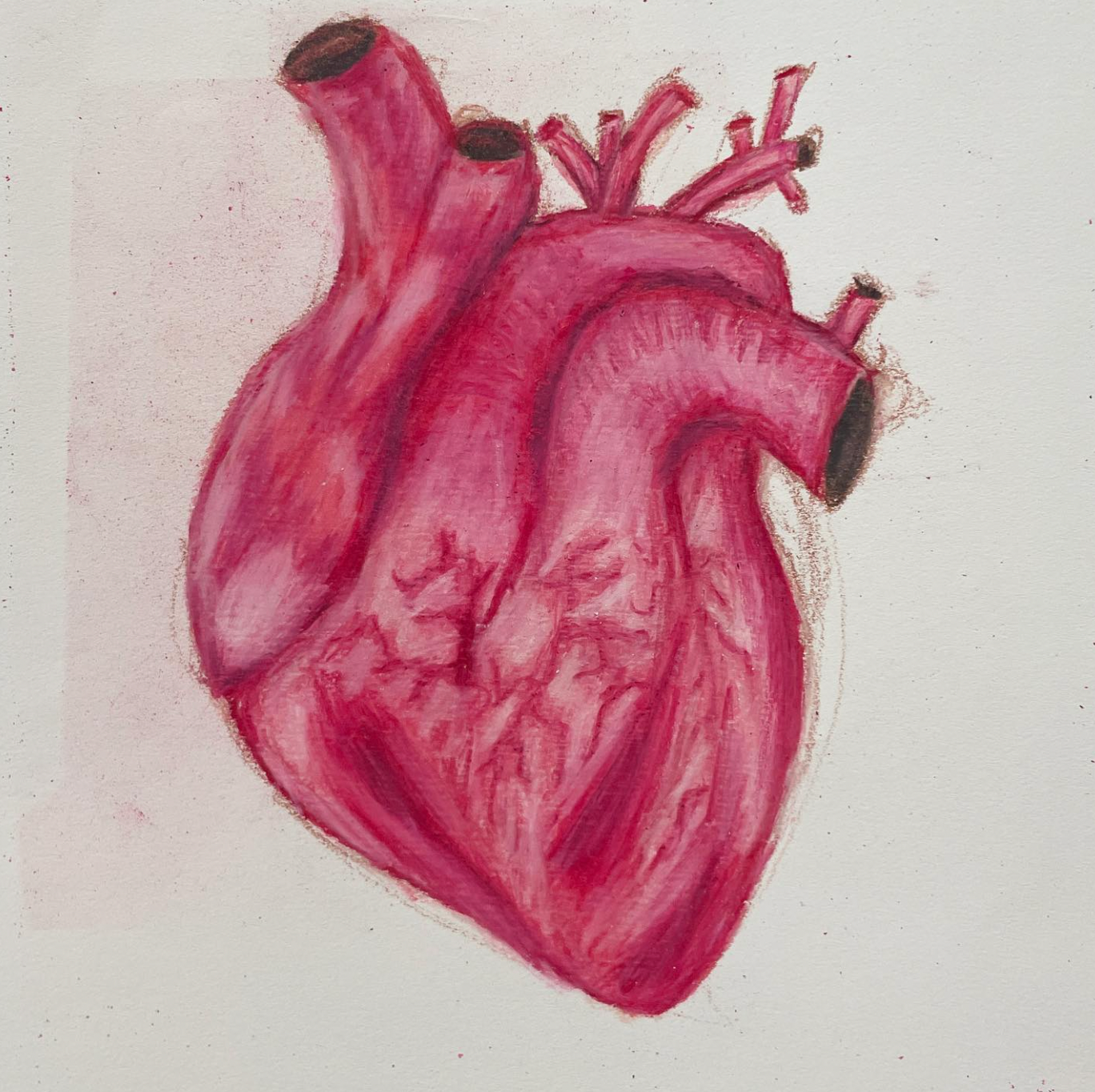 heart study
