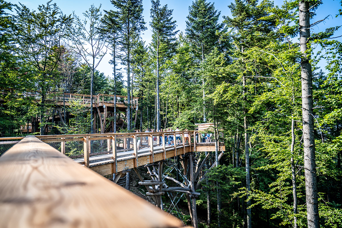 Portfolio DK-ART - Krynica Zdrój - Observation tower