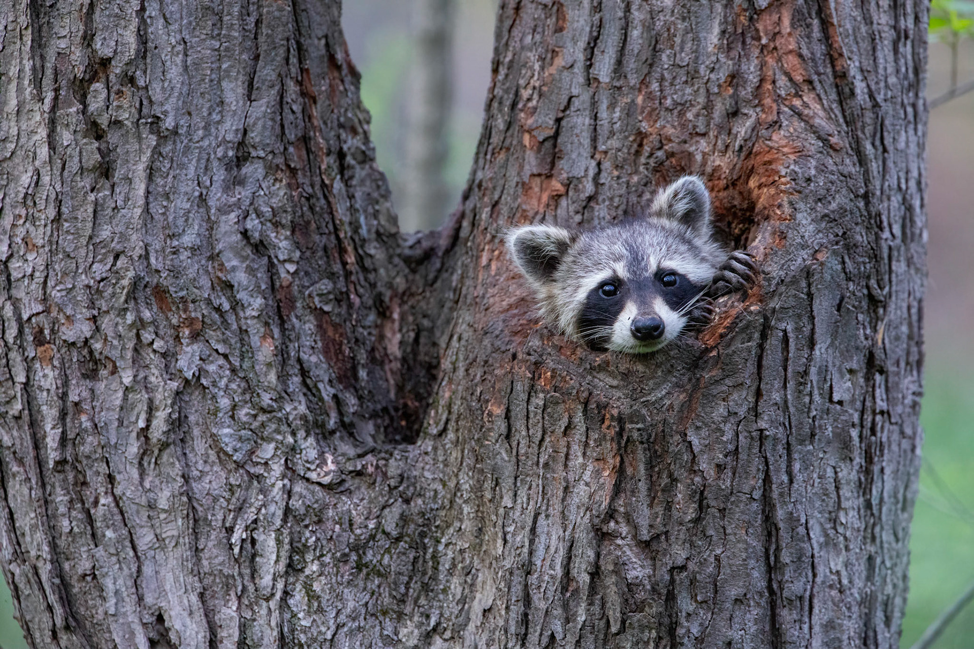 Hey There