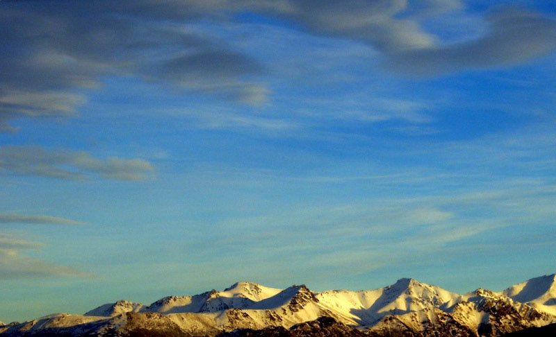 SAMSUNG DIGIMAX D530