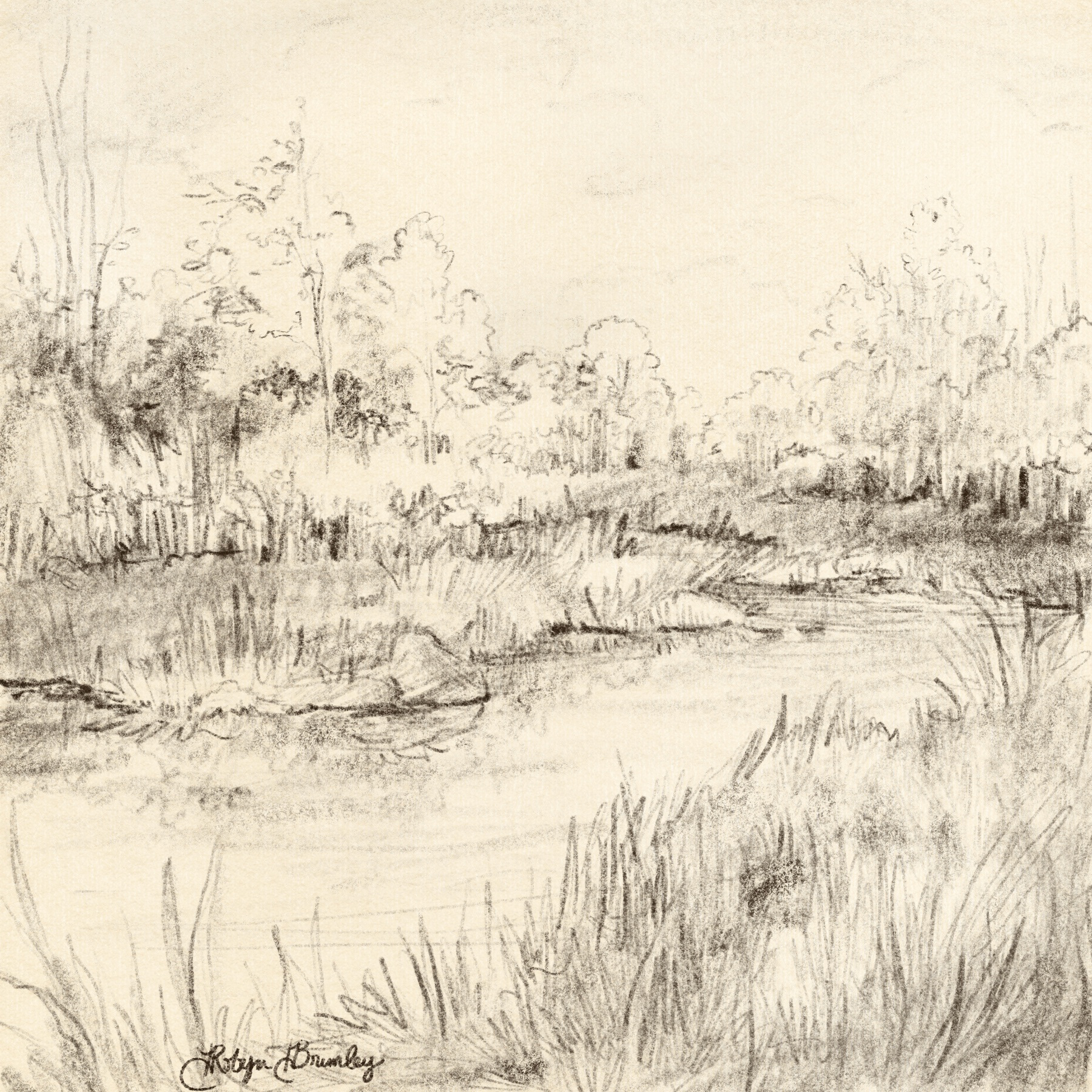 Snake River Sketch