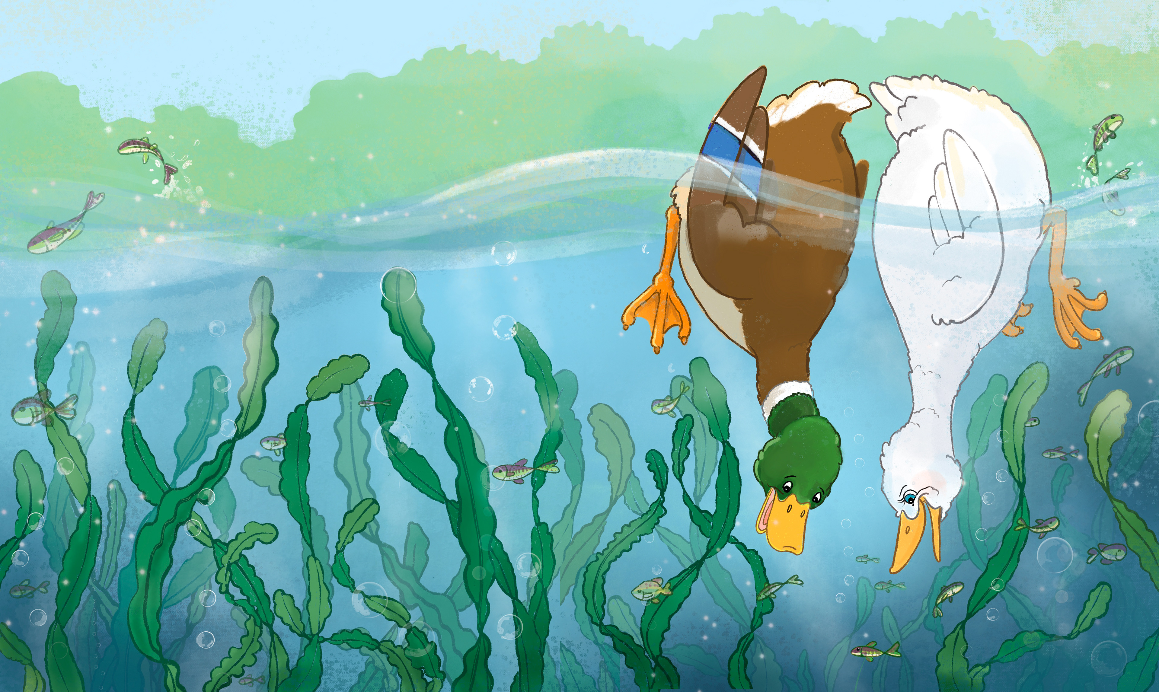 "Annemaries Pond" Fishing