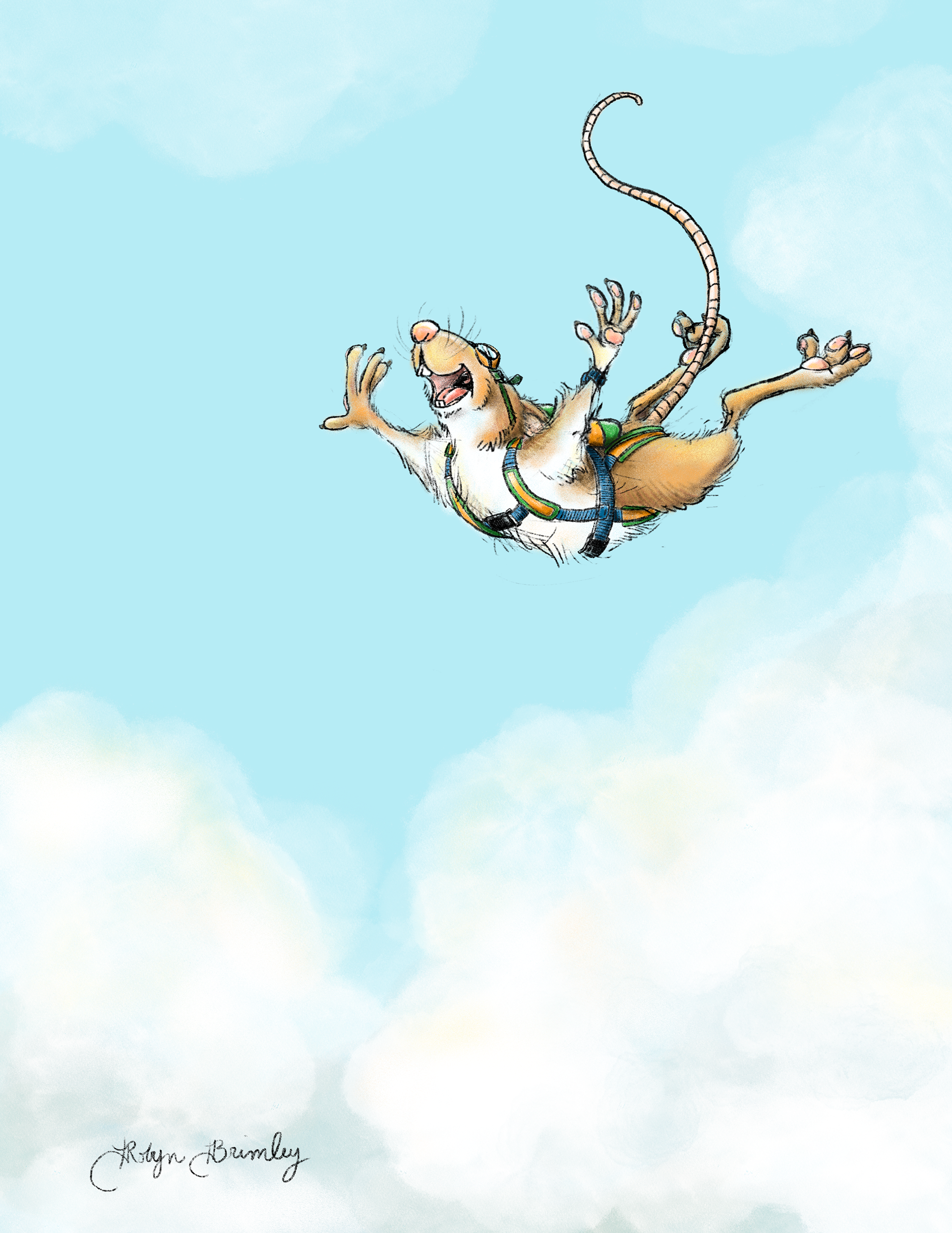 The Skies the Limit
