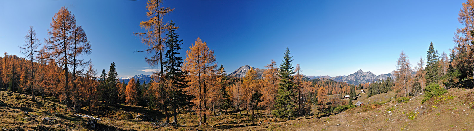 Schartenalm Bad Goisern am Hallstättersee