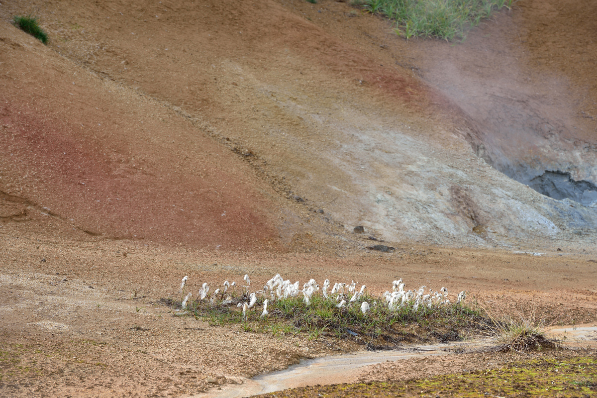 Geothermal-Gebiet Krýsuvík 