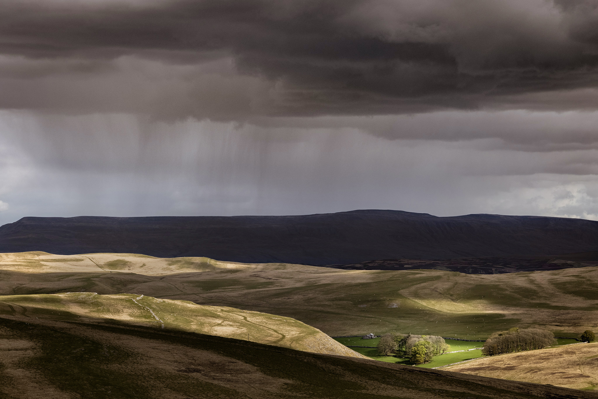 Potts Valley
