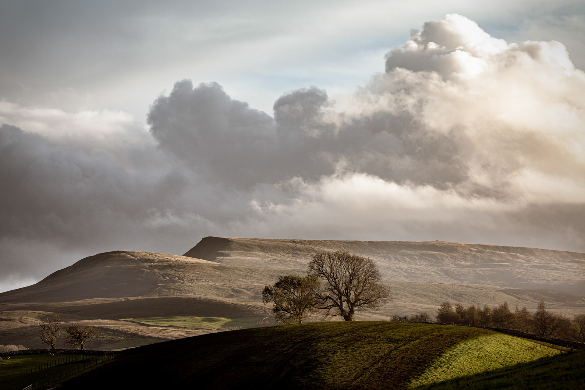 Wild Boar Fell