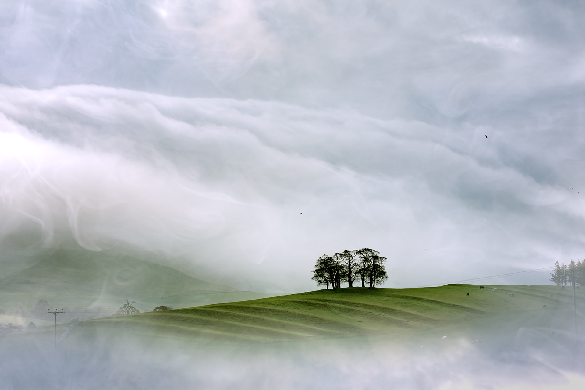 Gallows Hill