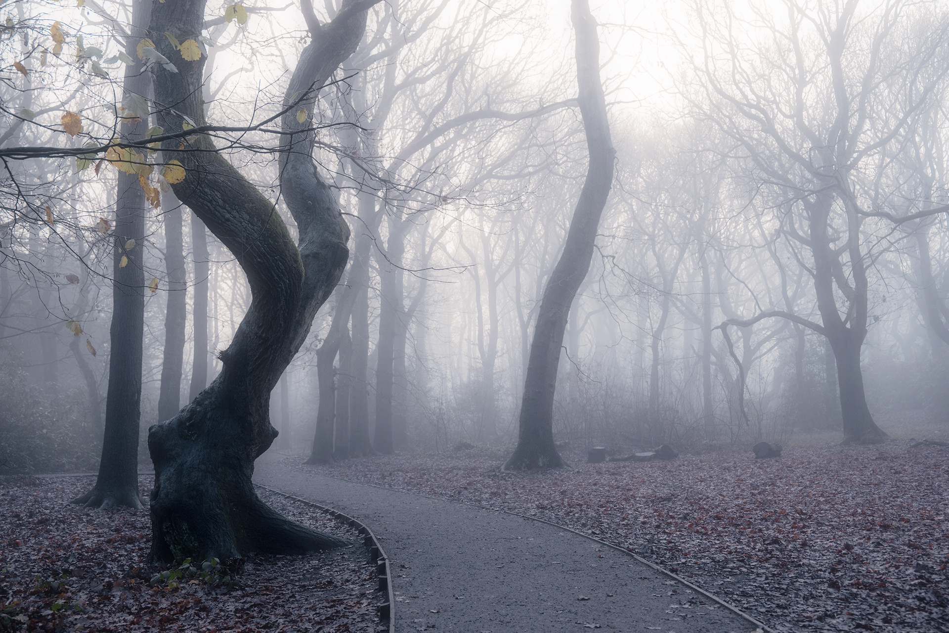 Taylor Park, St Helens