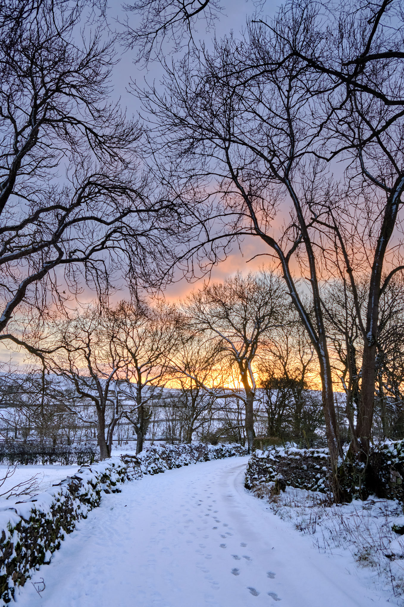 Lane to Greenrigg