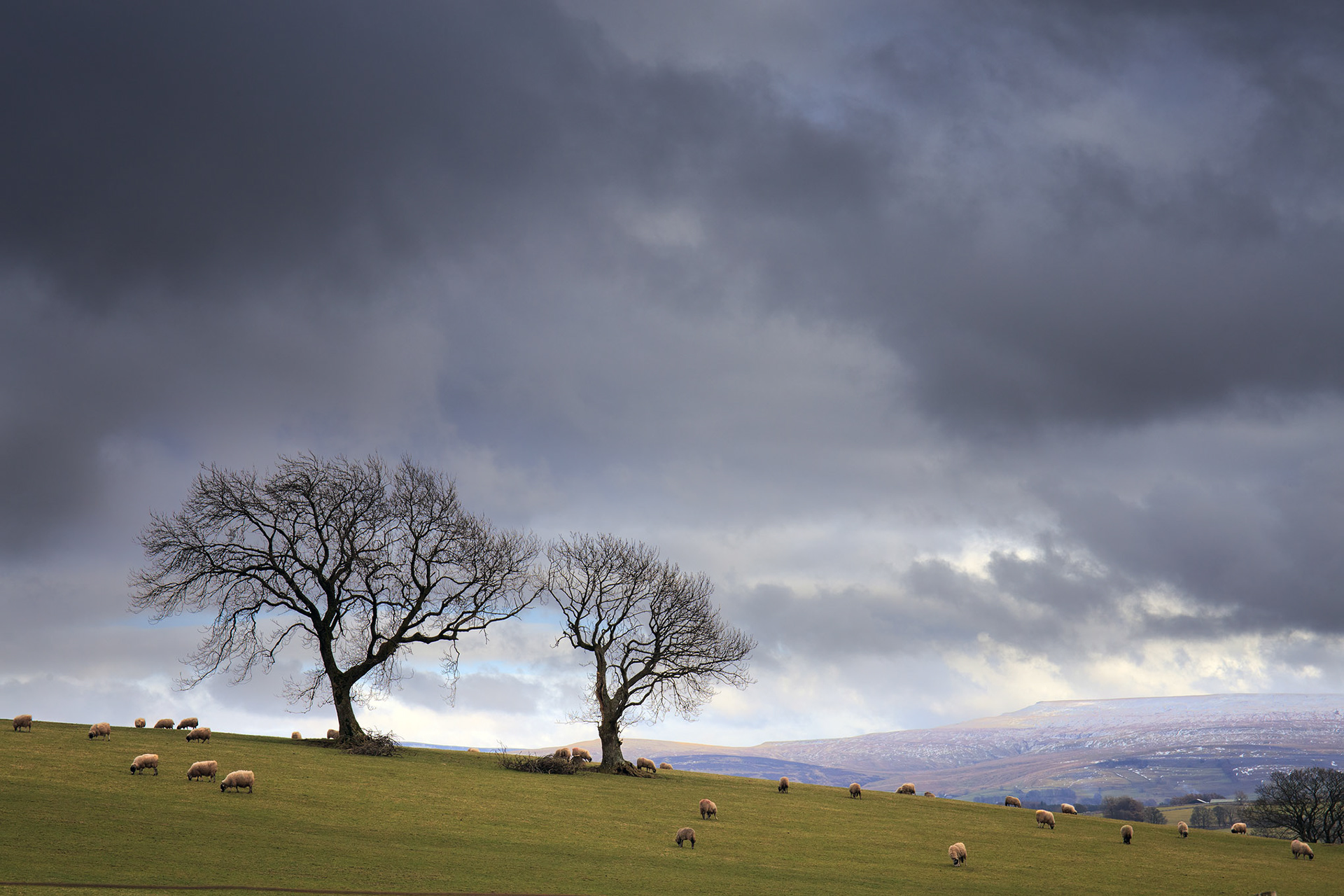 Near Newbiggin-on-Lune