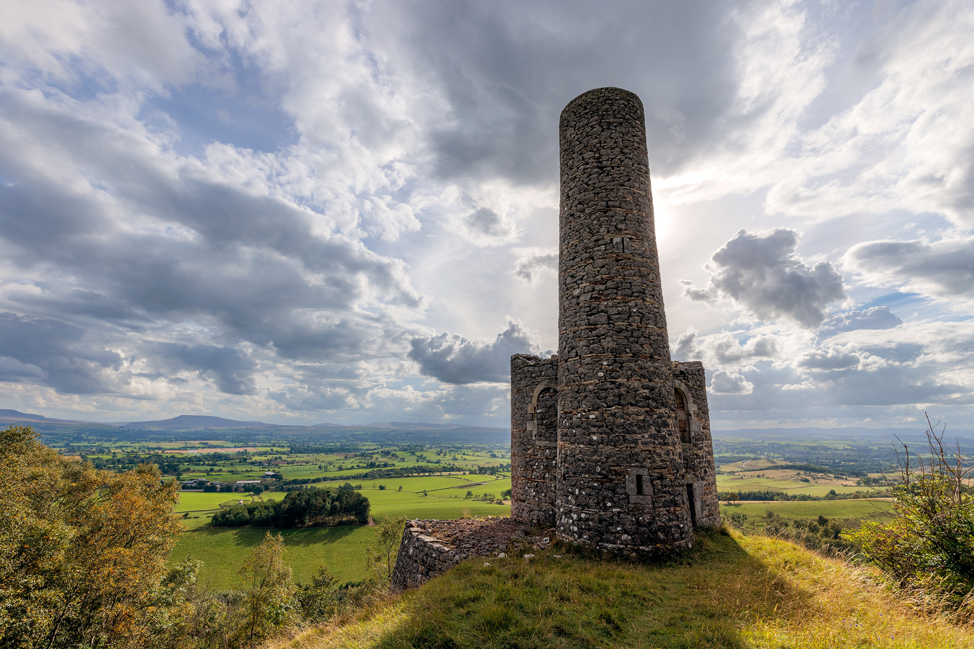 Fox Tower