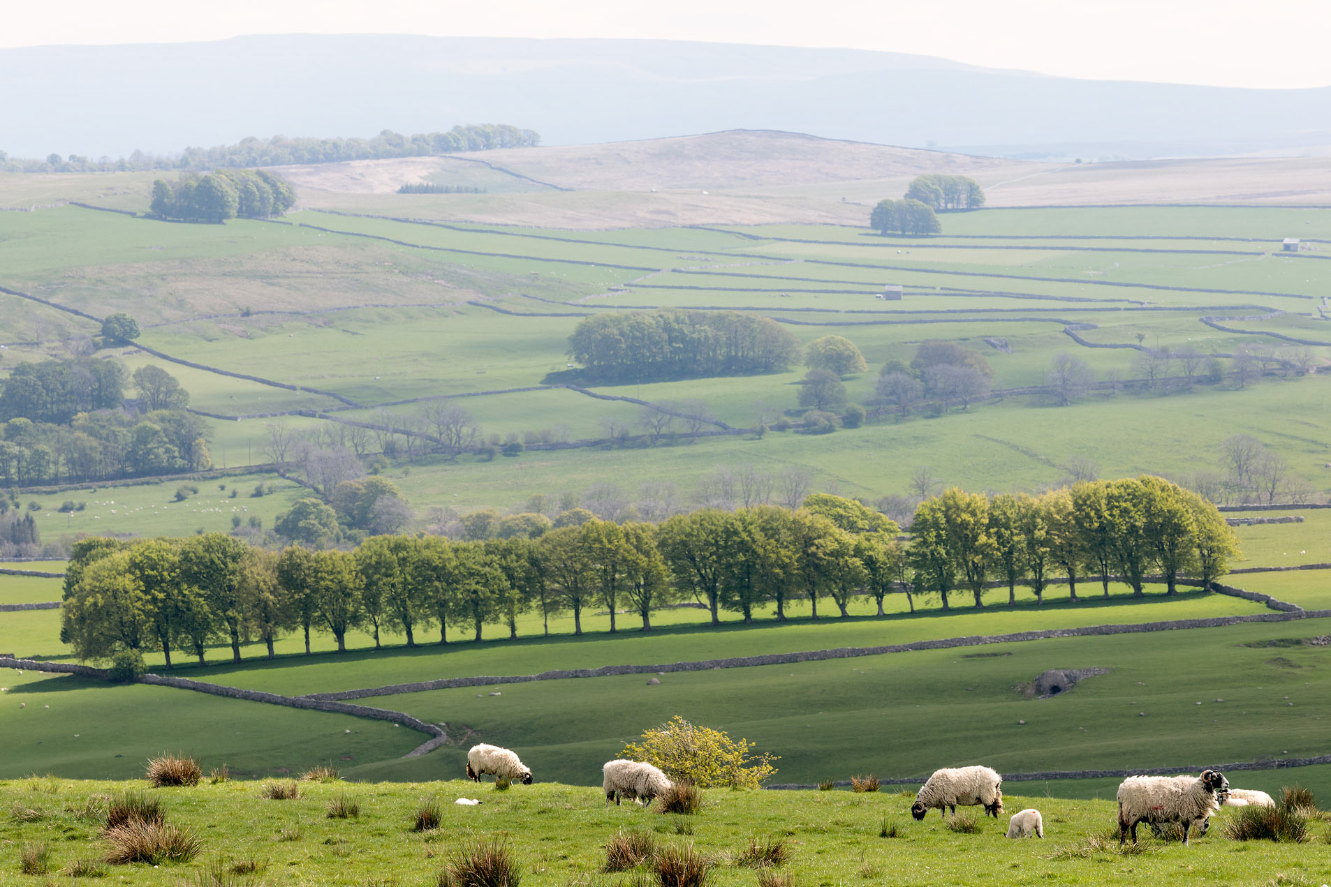 Crosby Ravensworth