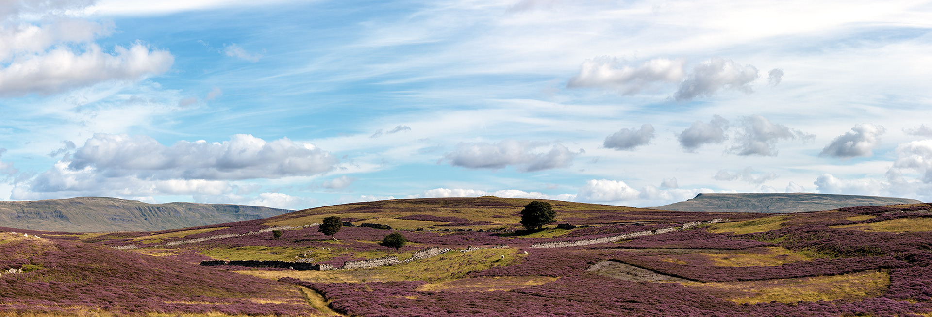 Rasett Hill