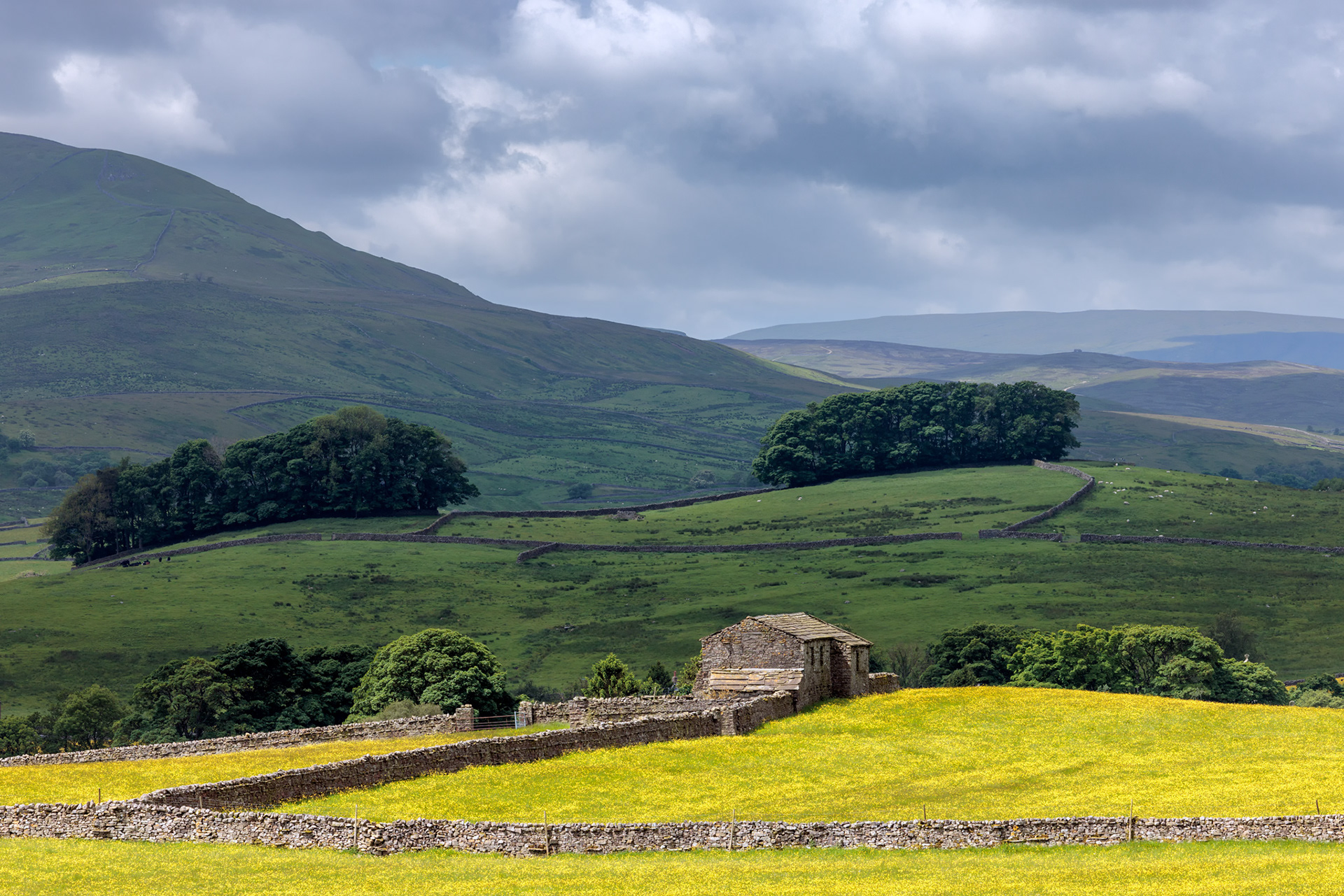 Hawes