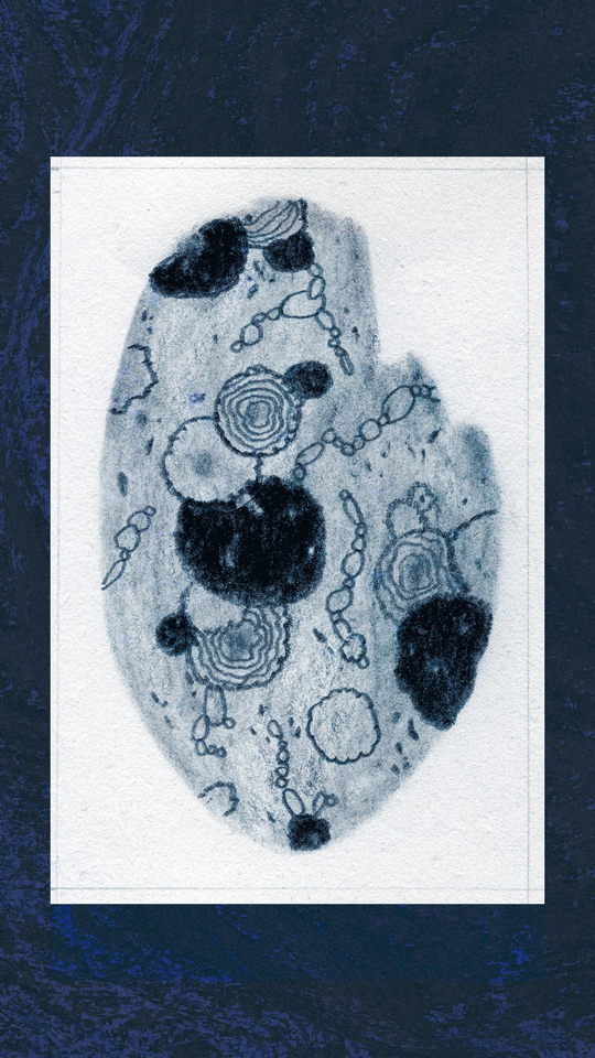 Sassy Stones - Experimental