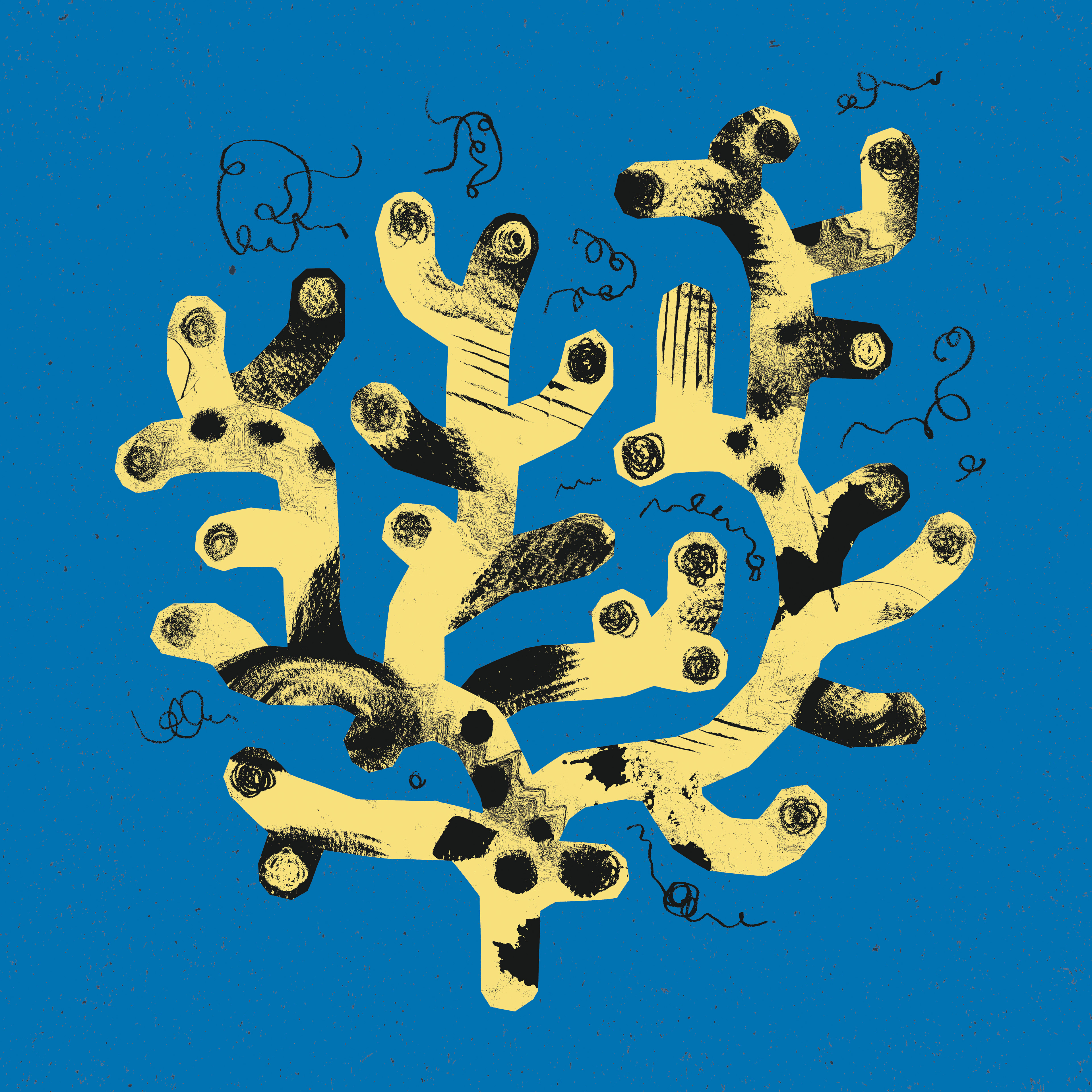 Corallo - T-shirt Design