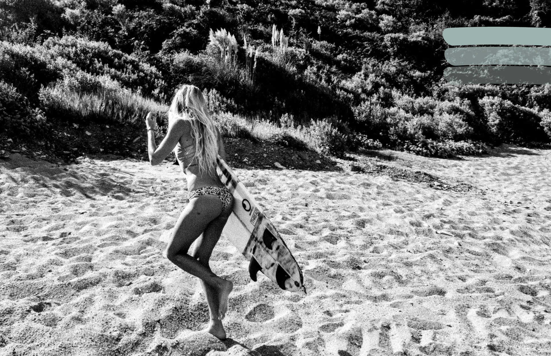 Fin the Journal. Images by Megan Costello.