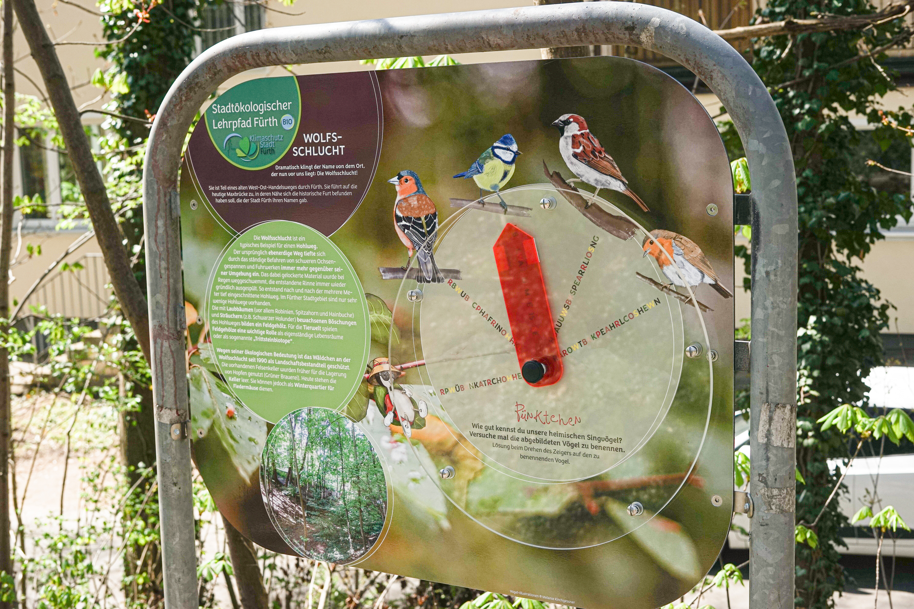B10 Wolfsschlucht, interaktive Tafel
