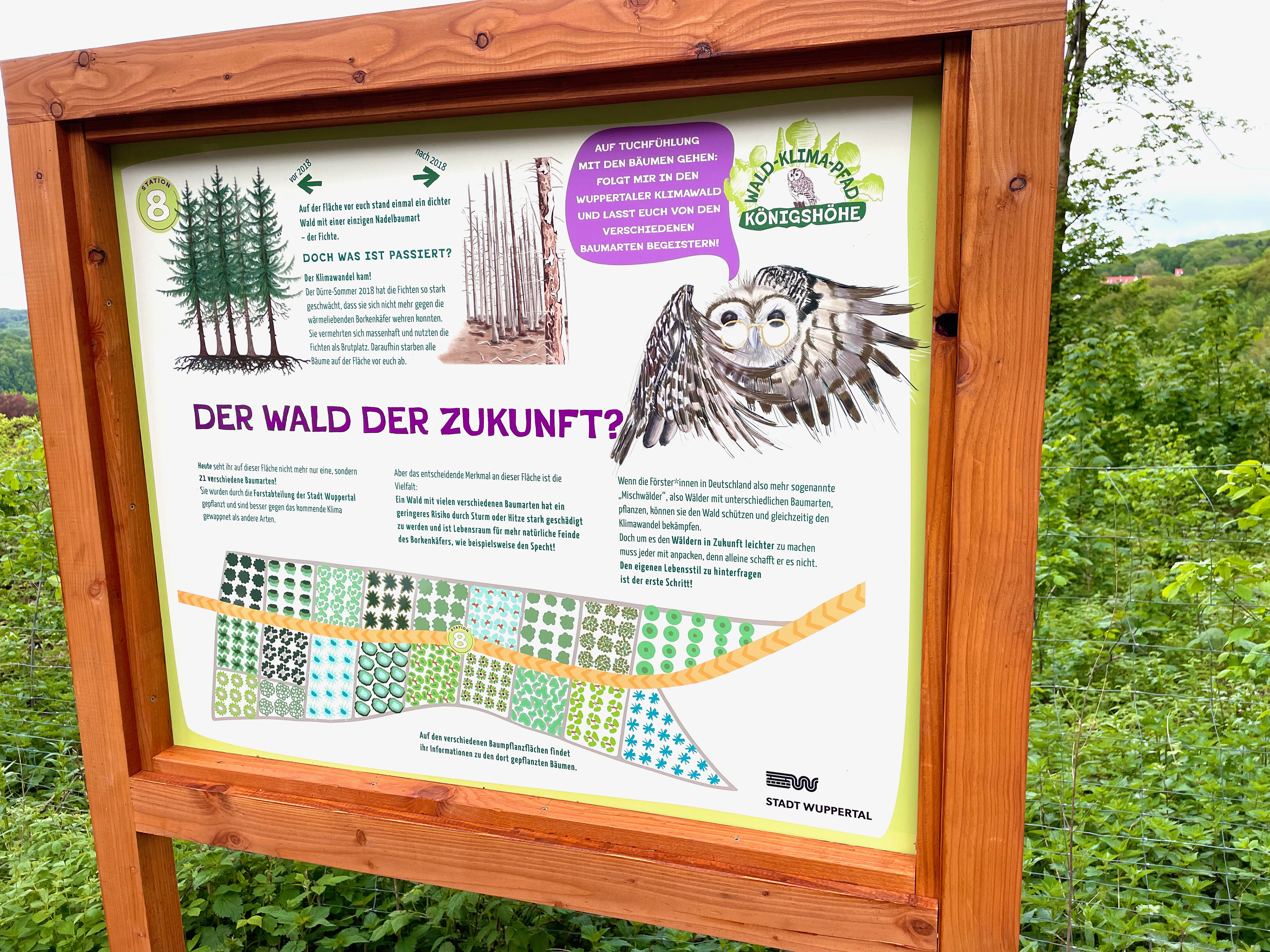 Klimawald mit 21 Baumarten