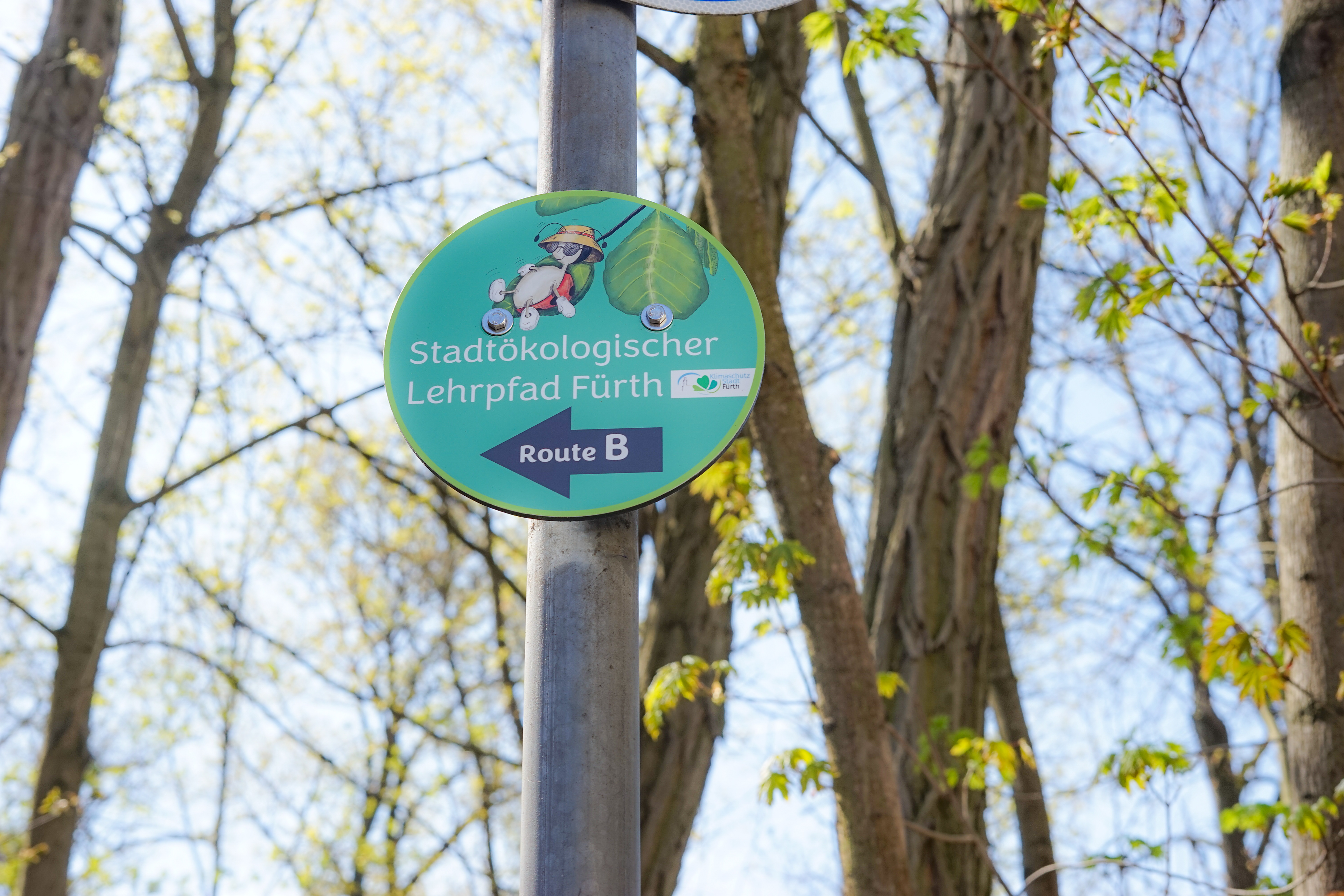 Runde Wegweiser führen durch die Pfade