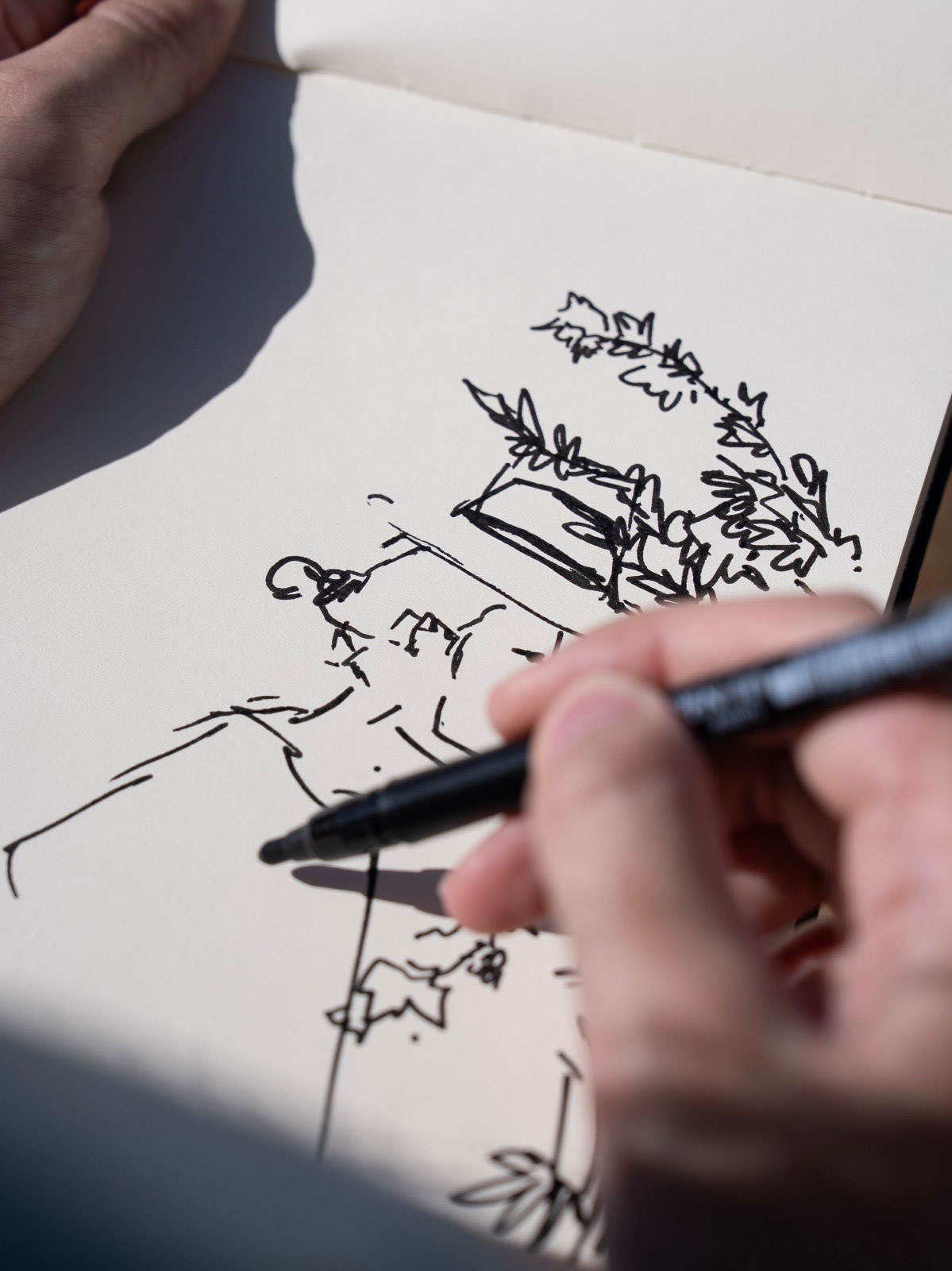 A desenhar a vindima na Herdade do Esporão