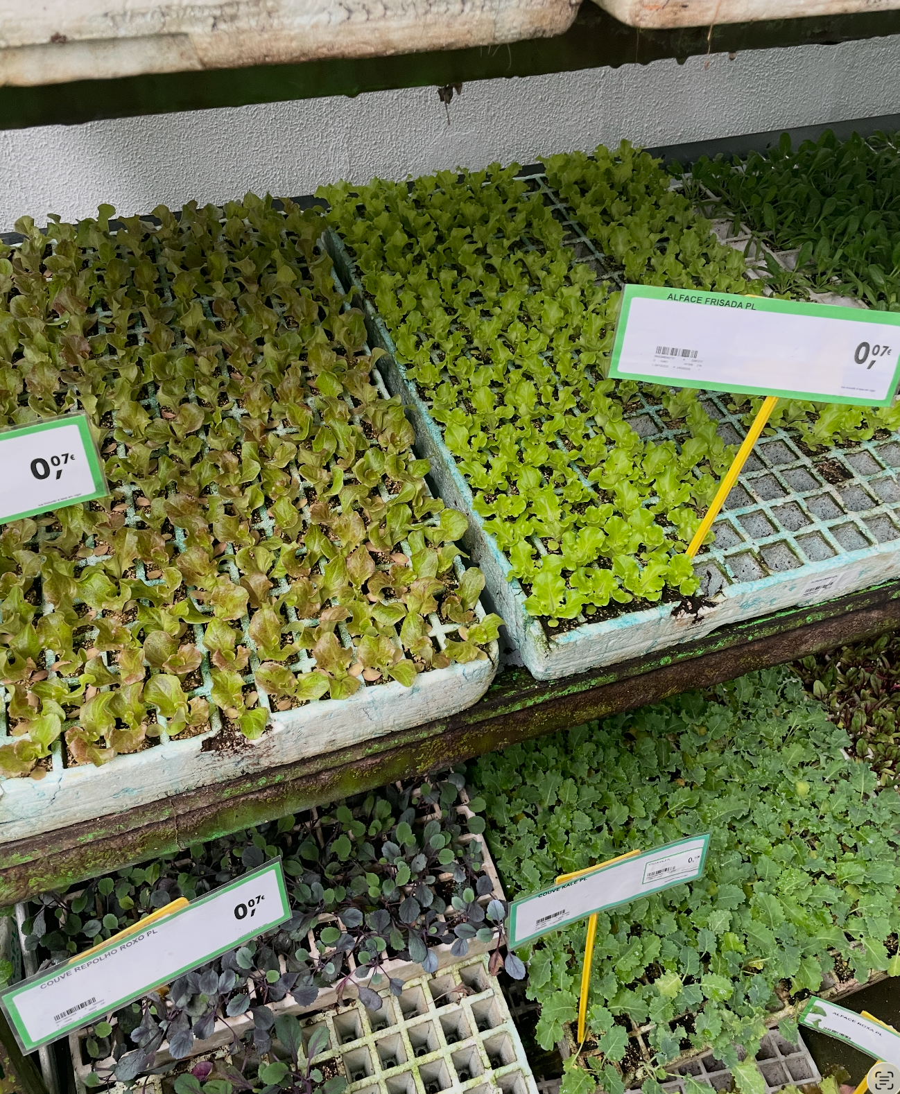 A minha loja favorita deixou de ser o ponto das artes e agora é a Agriloja