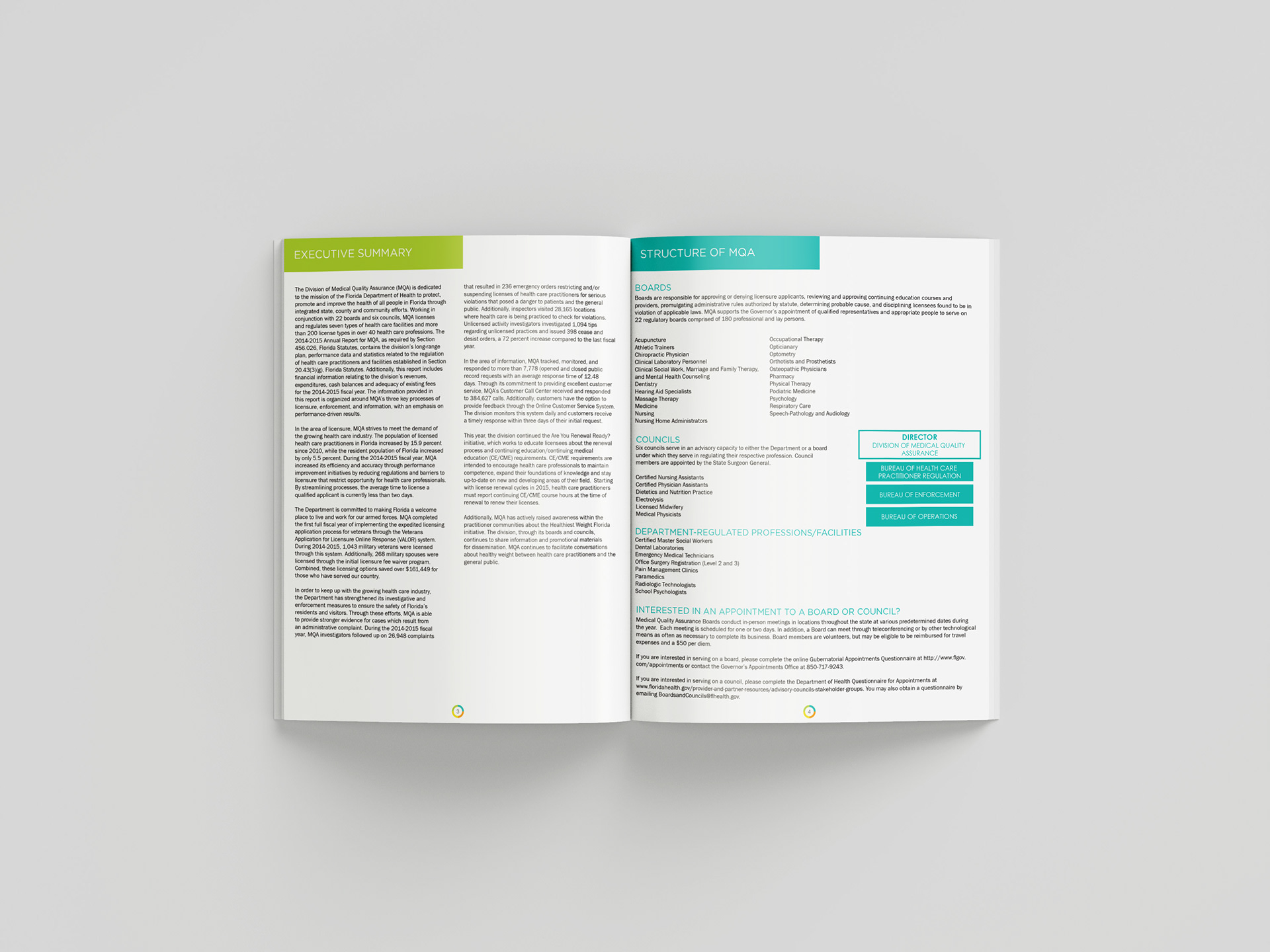 Pages 3-4: Executive Summary & Department Structure Breakdown