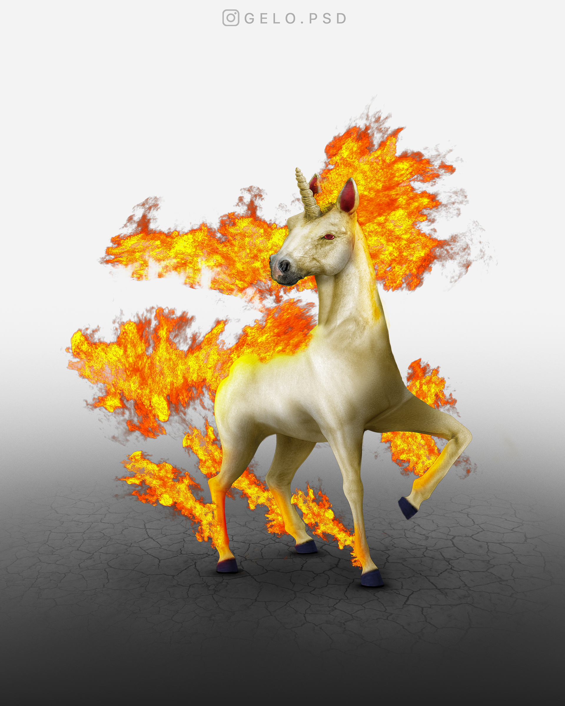 078 - Rapidash