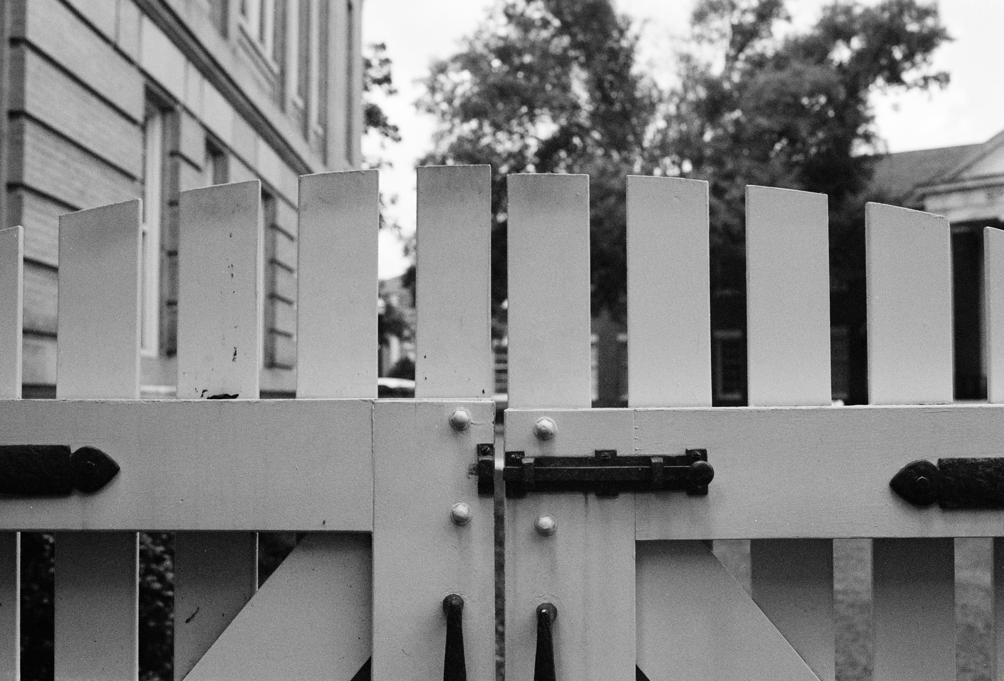 The Gorgas House Museum 2025 | KSX 1000 | Ilford XP2 Super 400