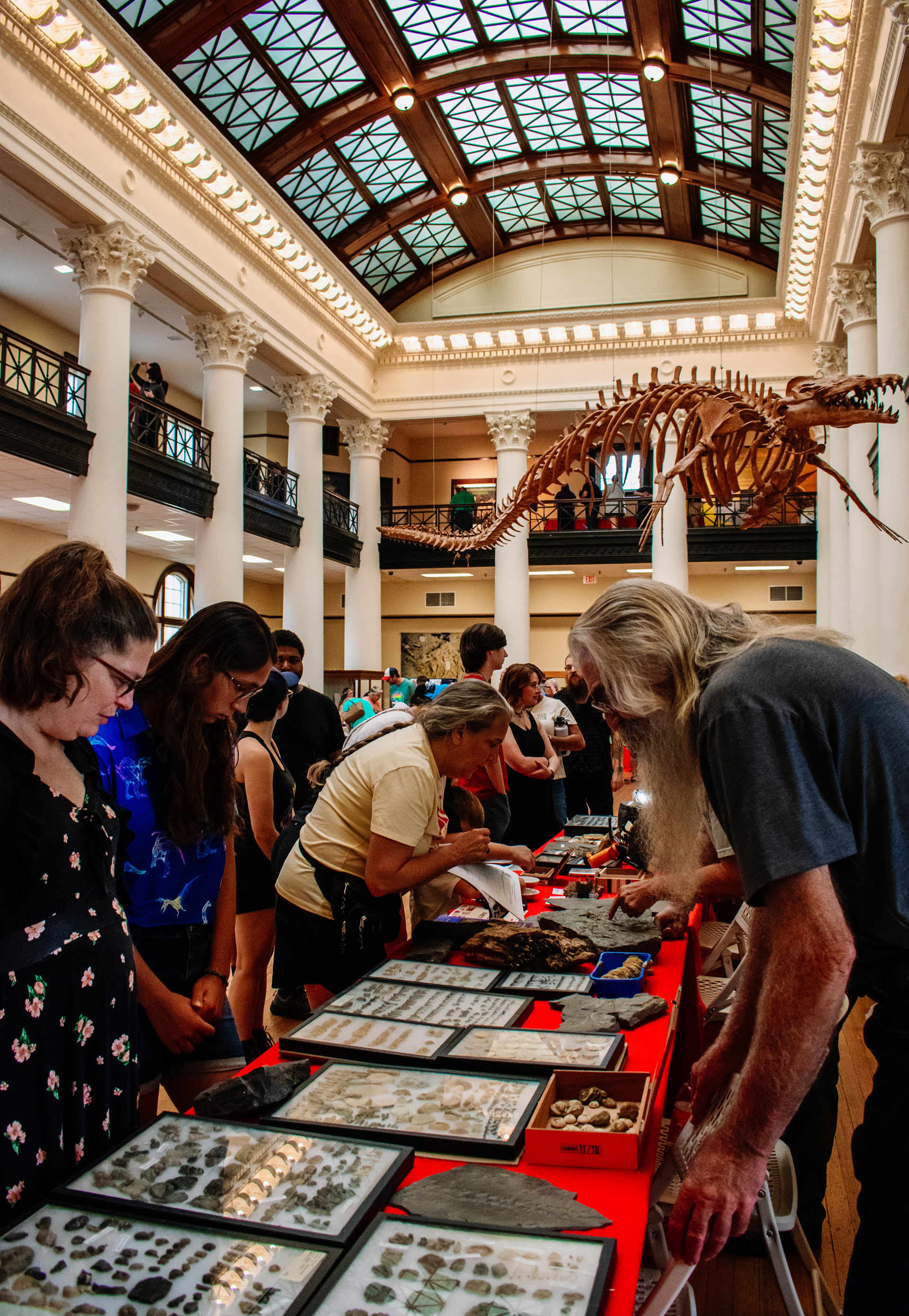 Alabama Museum of Natural History | Alabama Fossil Fest 2025 | Nikon D3400 