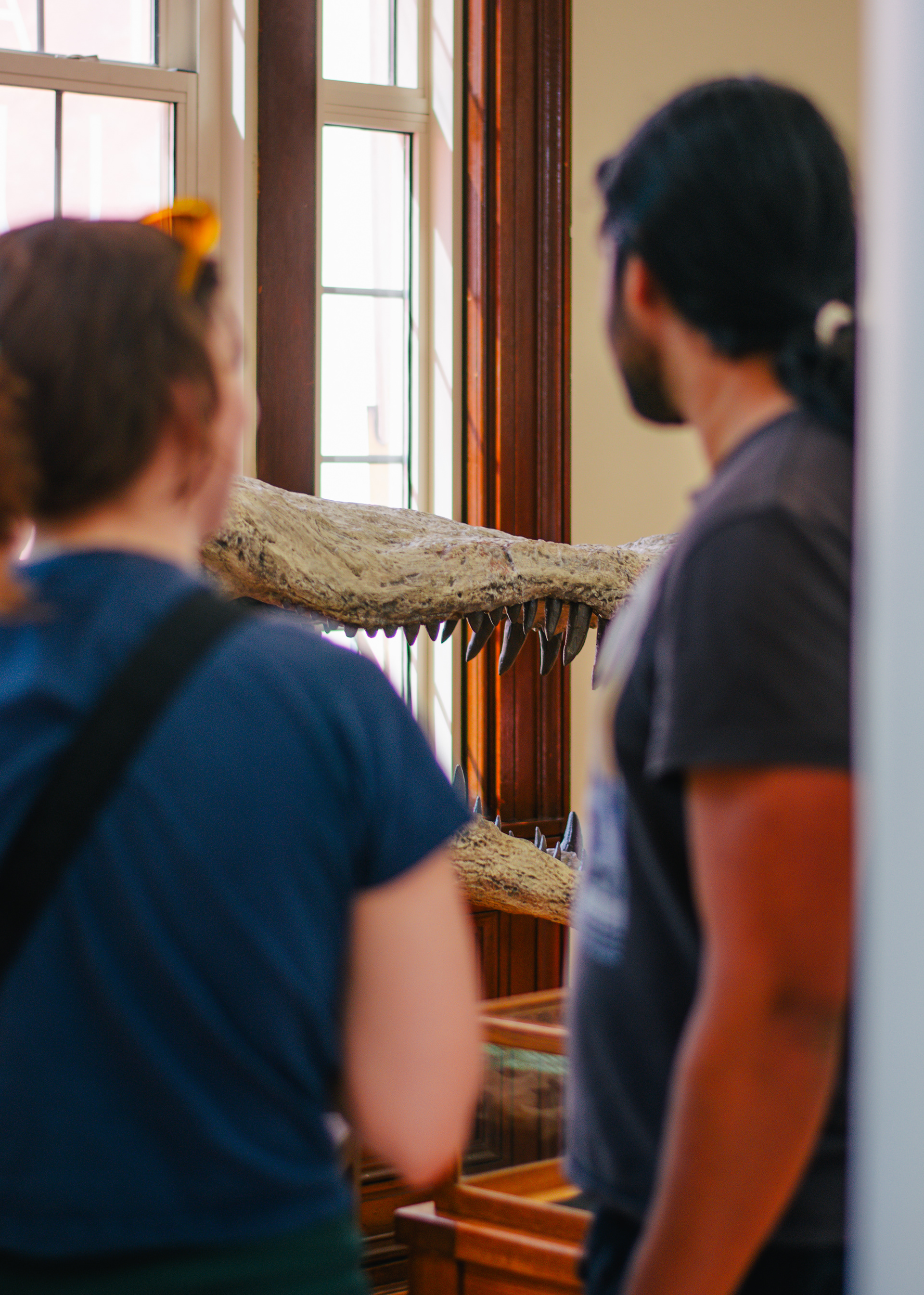 Alabama Museum of Natural History | Alabama Fossil Fest 2025 | Nikon D3400 