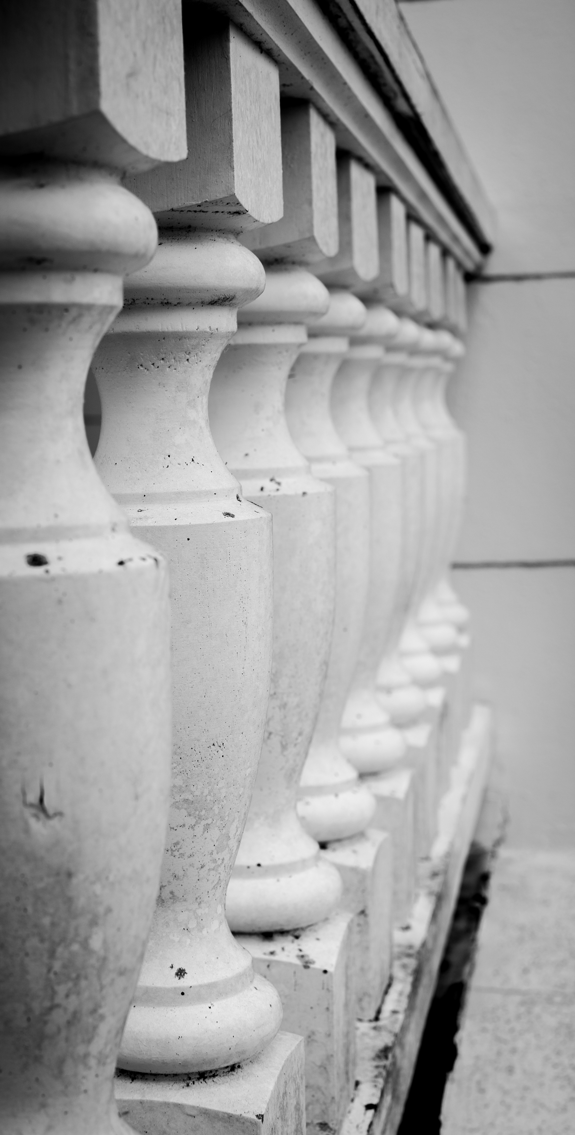 Gaineswood | Demopolis, AL | Nikon D3400 | 35mm lens