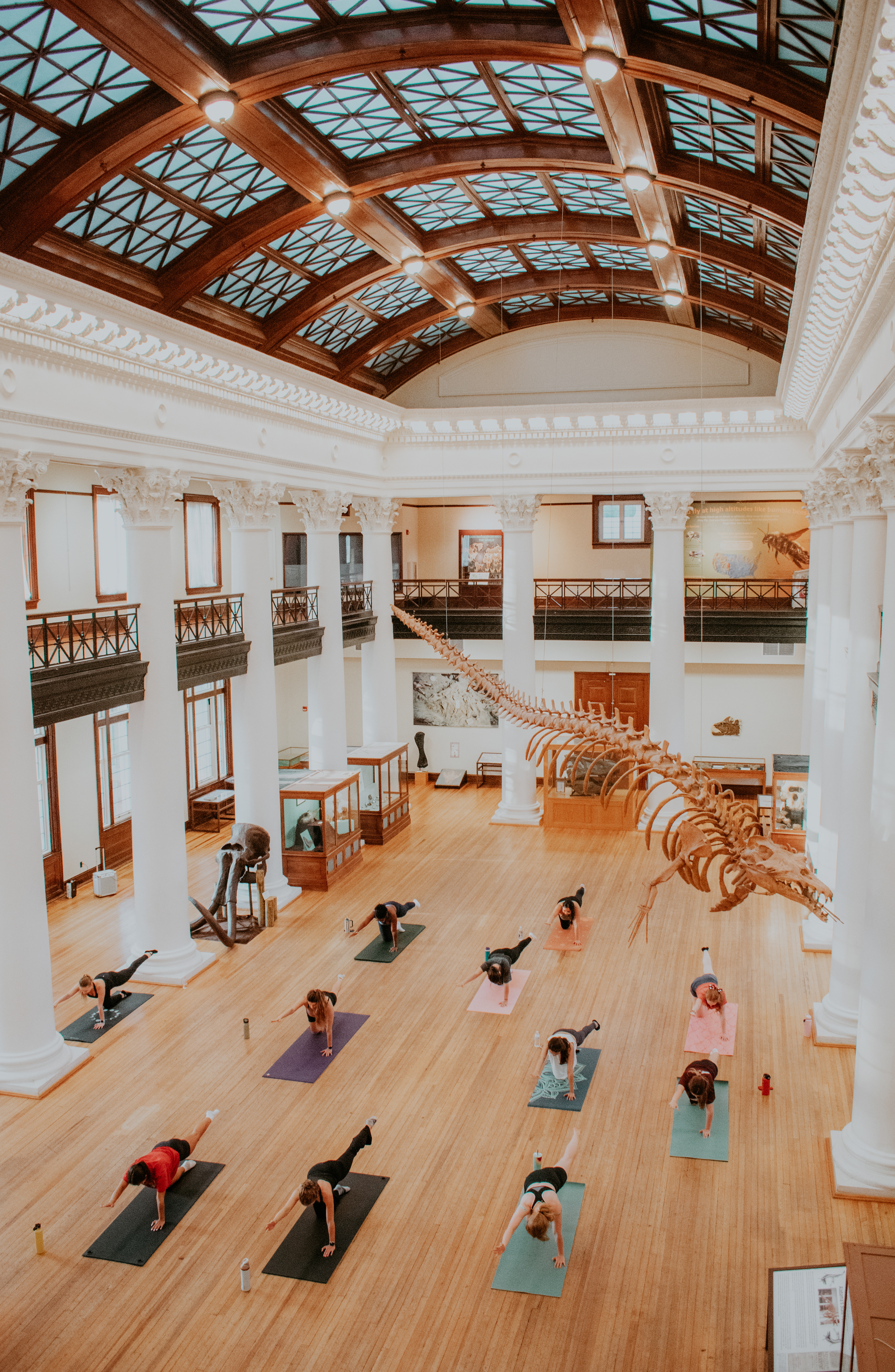 Alabama Museum of Natural History | Movement in the Museum: Pilates 2025 | 18-55mm lens