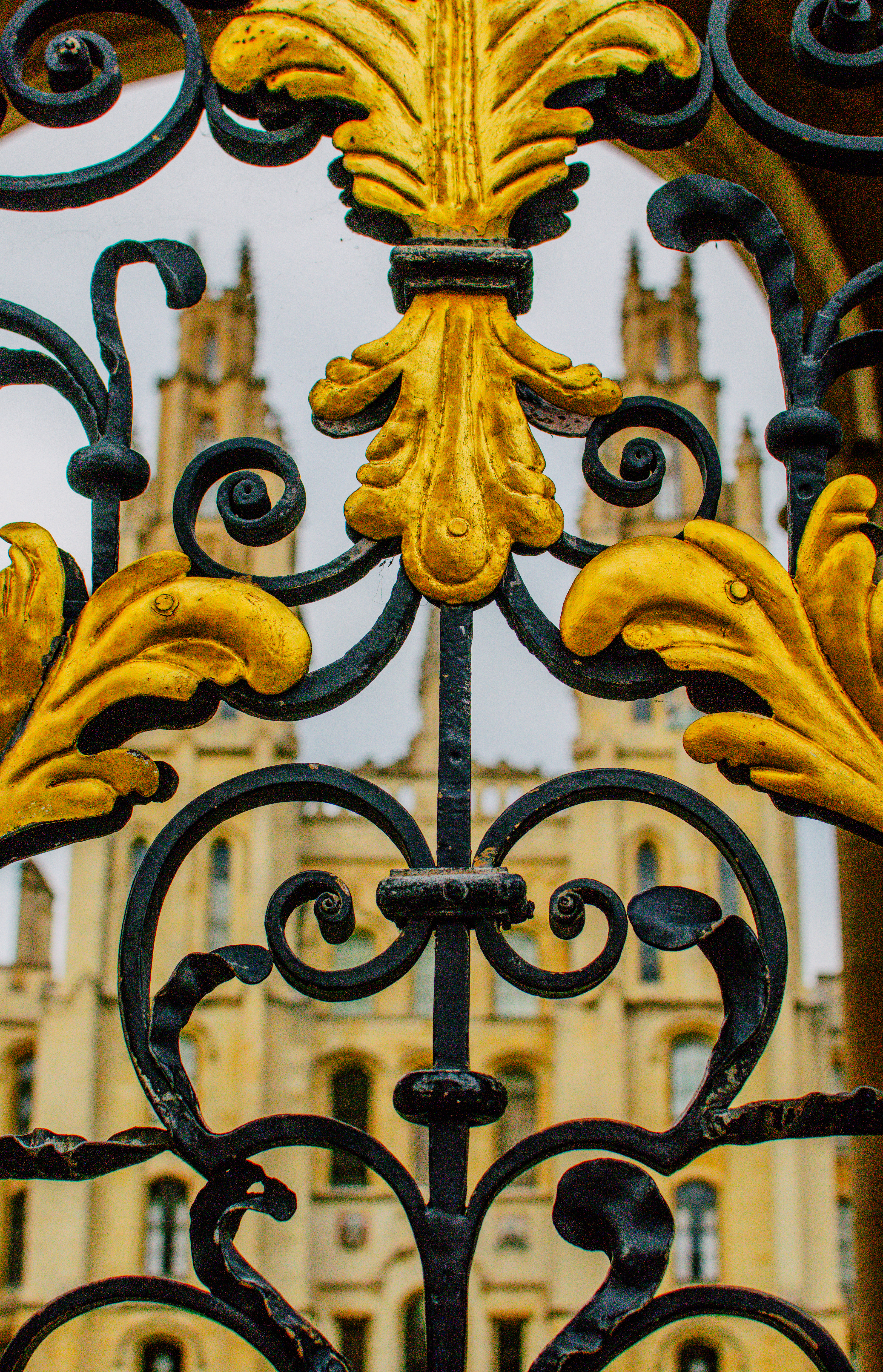Oxford University (July 2025) | Nikon D3400 | 35mm lens