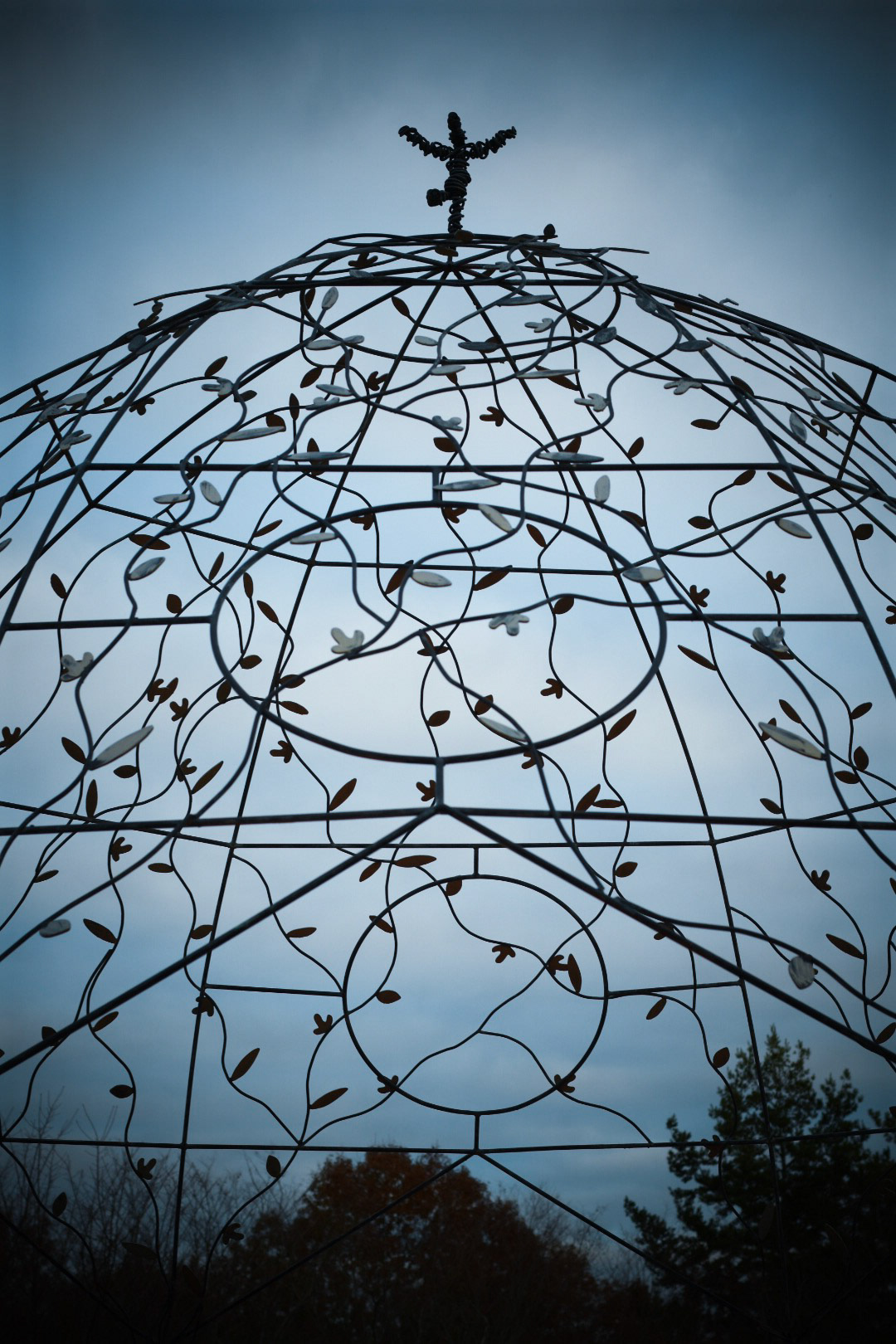 Birmingham Botanical Gardens | Nikon D3400