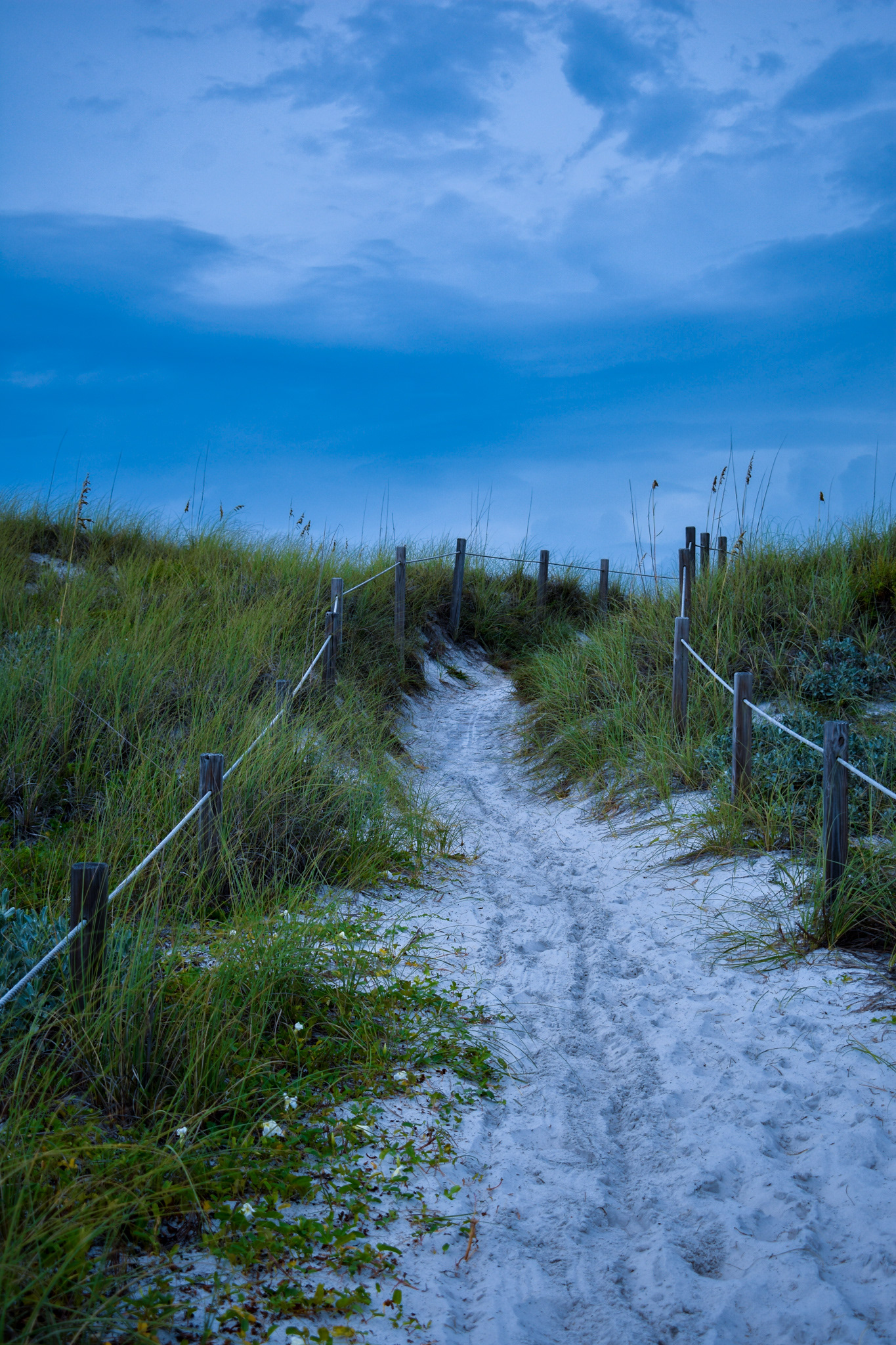 WaterSound, Florida | iPhone 11 Pro Max