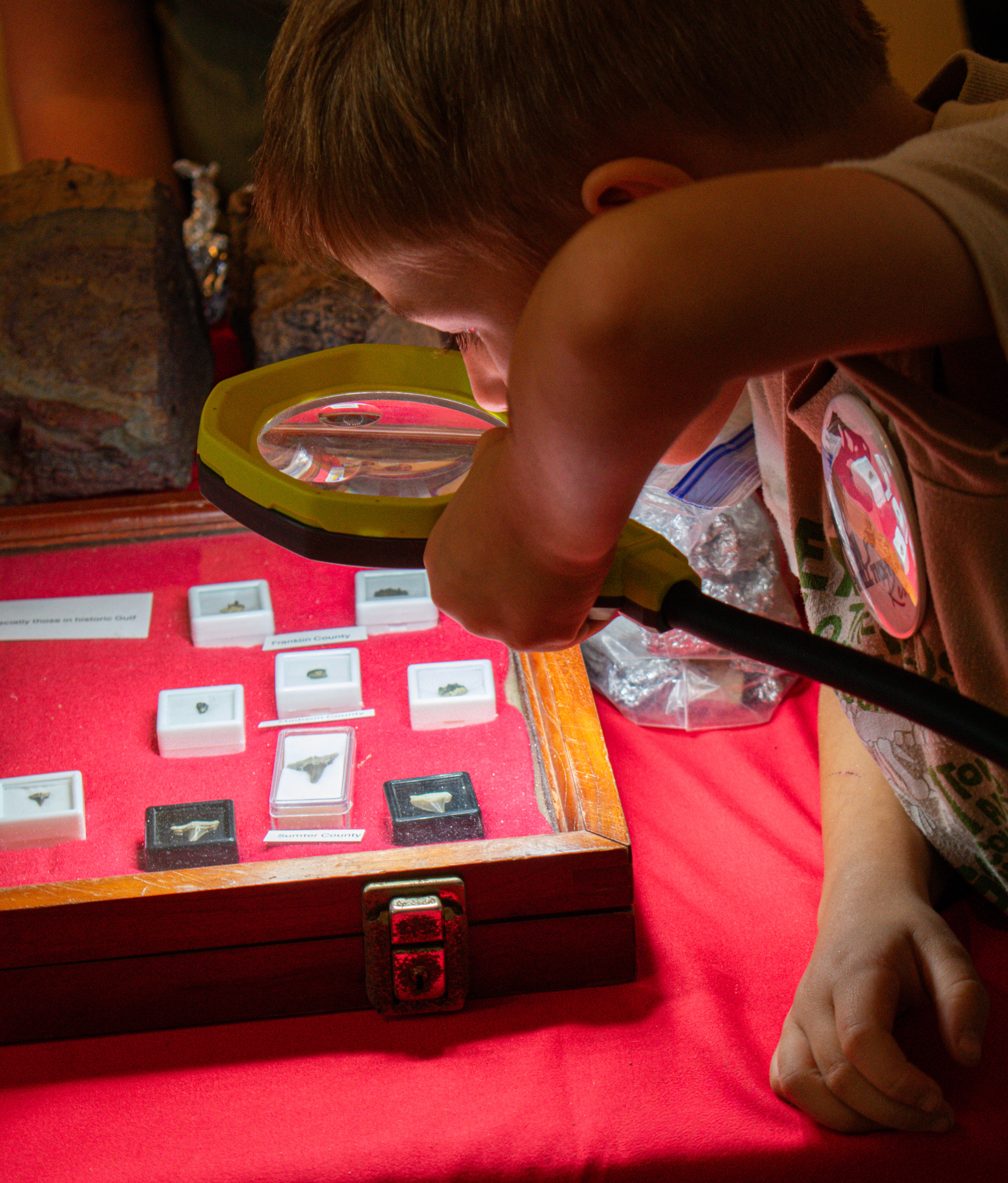 Alabama Museum of Natural History | Alabama Fossil Fest 2025 | Nikon D3400 