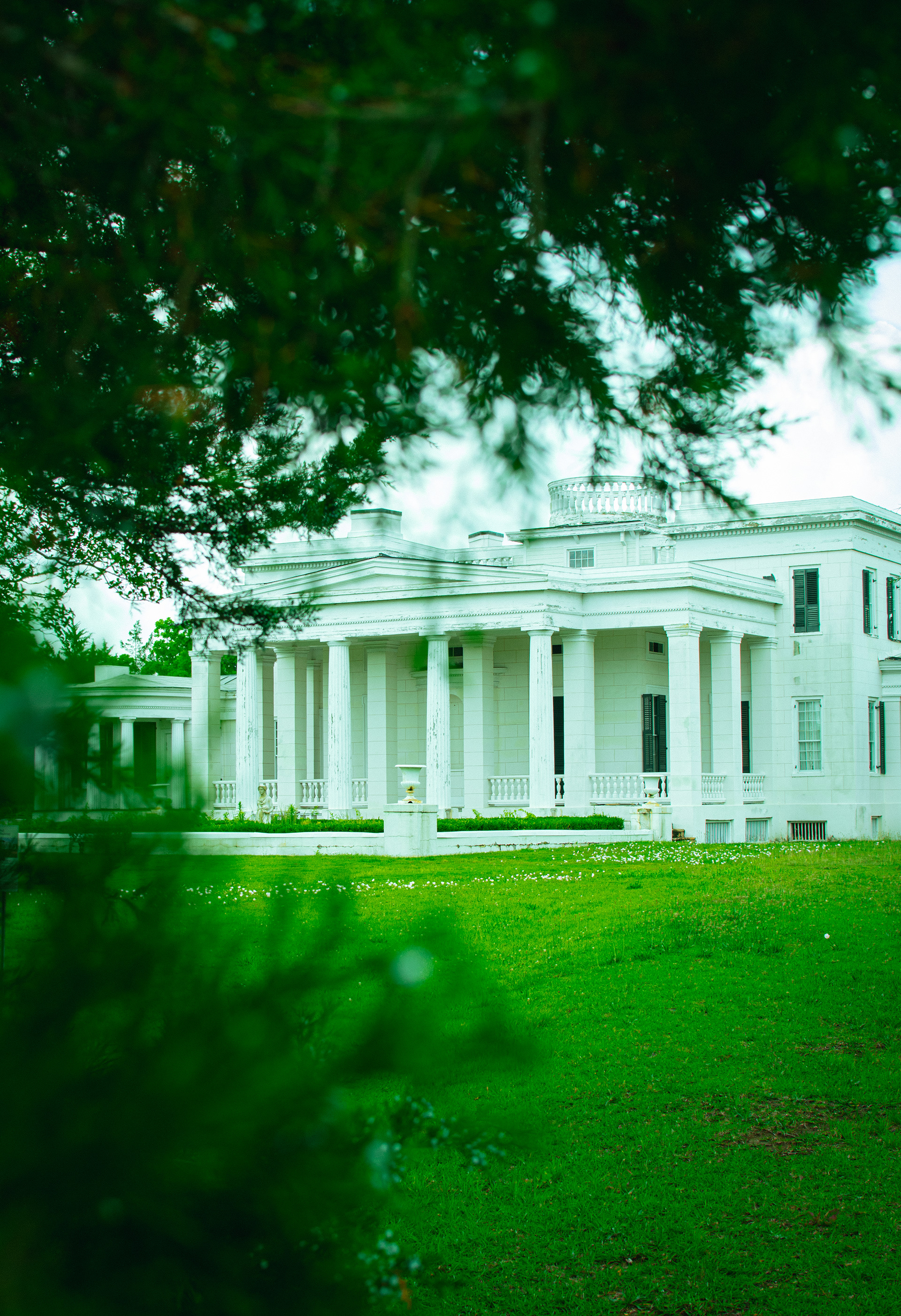 Gaineswood | Demopolis, AL | Nikon D3400 | 35mm lens