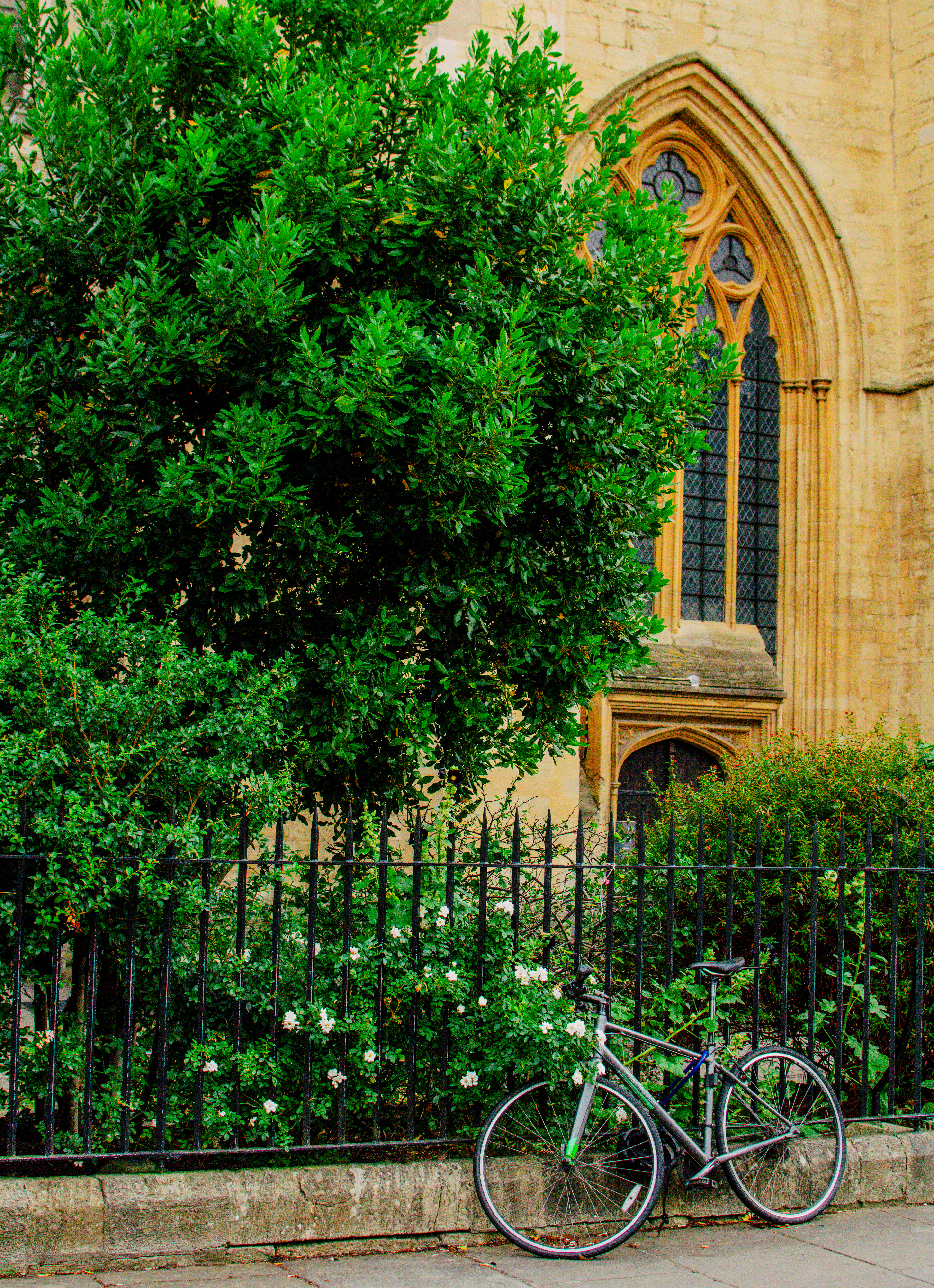 Oxford University (July 2025) | Nikon D3400 | 35mm lens